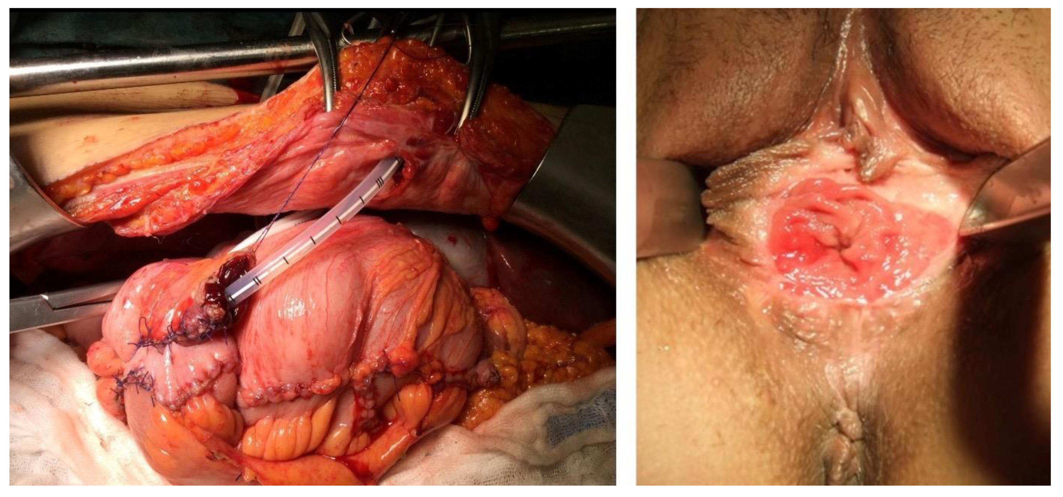 Cancers 13 06162 g003