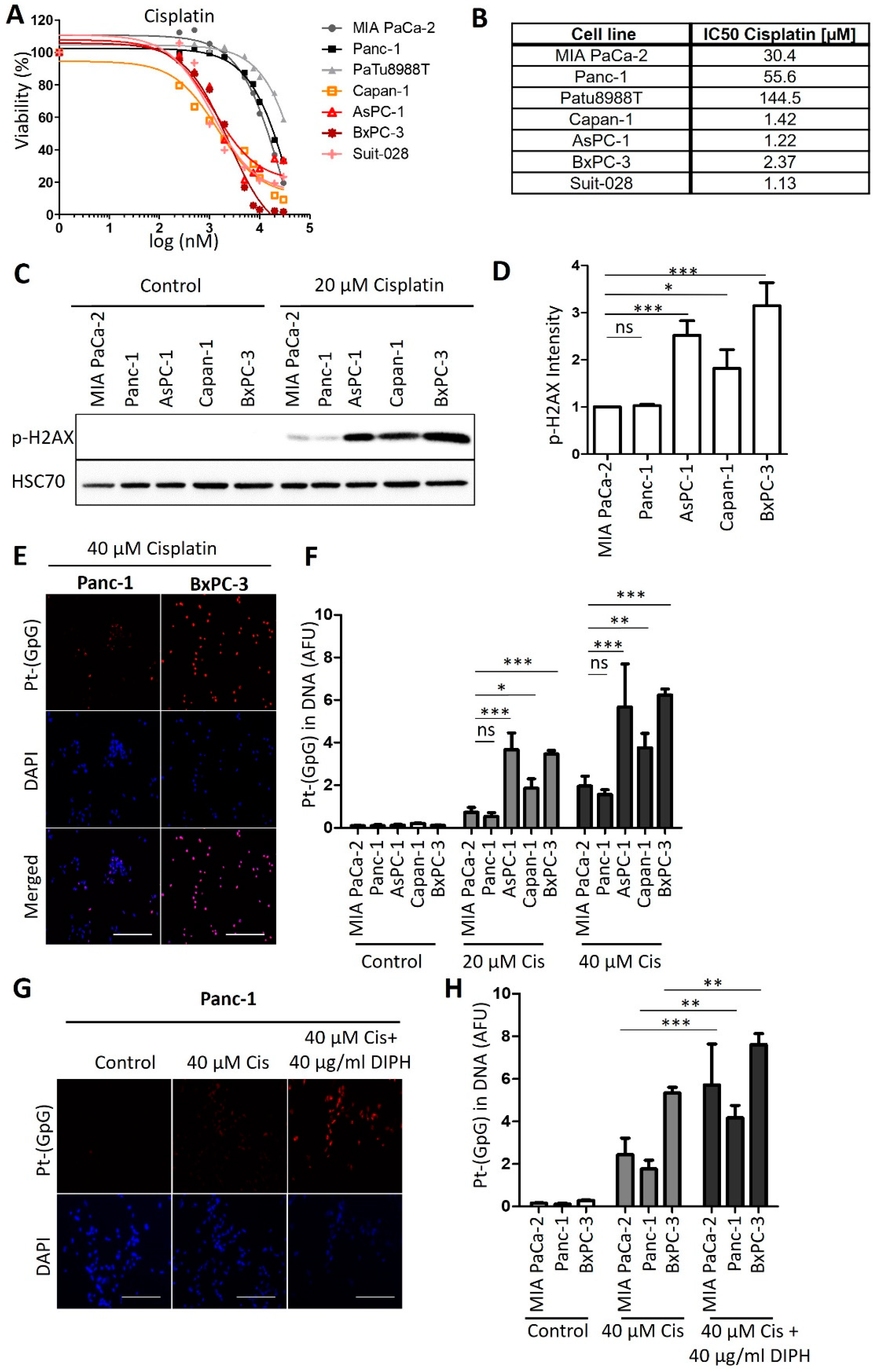 Cancers 13 06163 g001