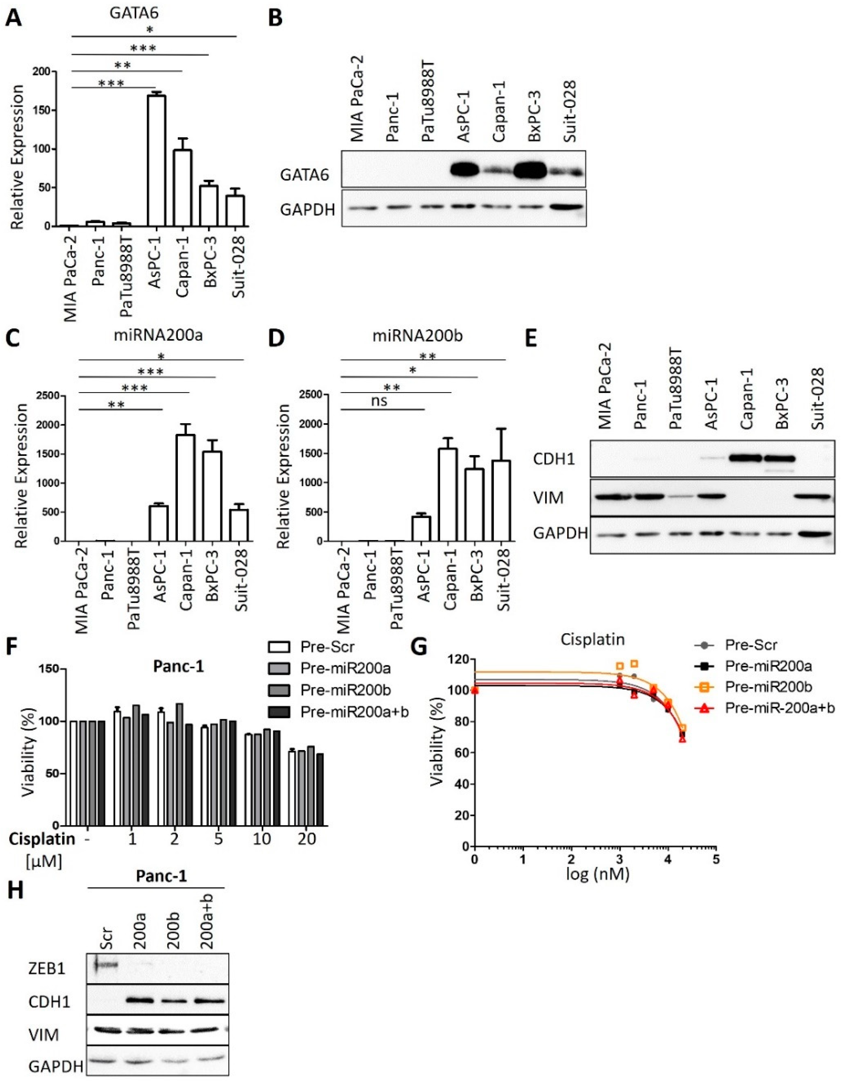 Cancers 13 06163 g002