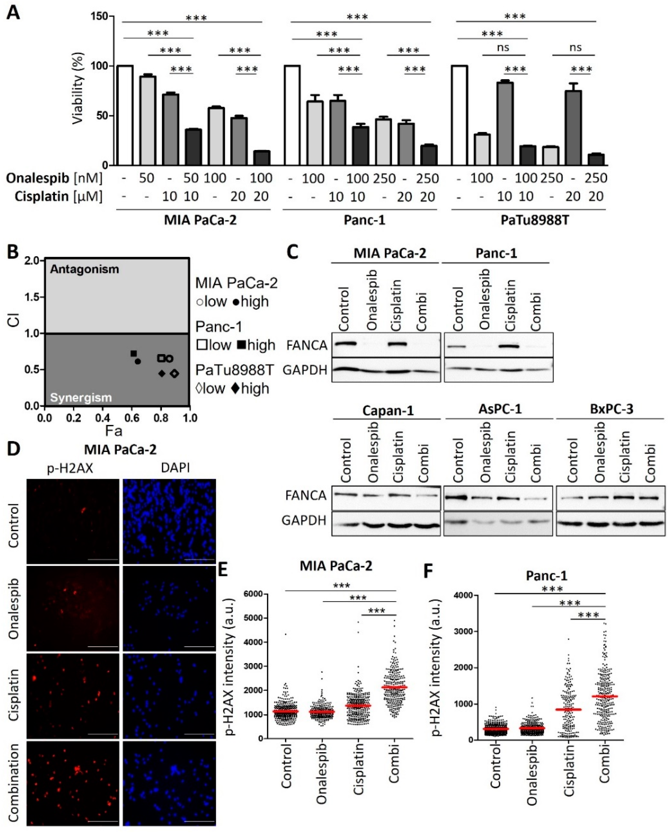 Cancers 13 06163 g003