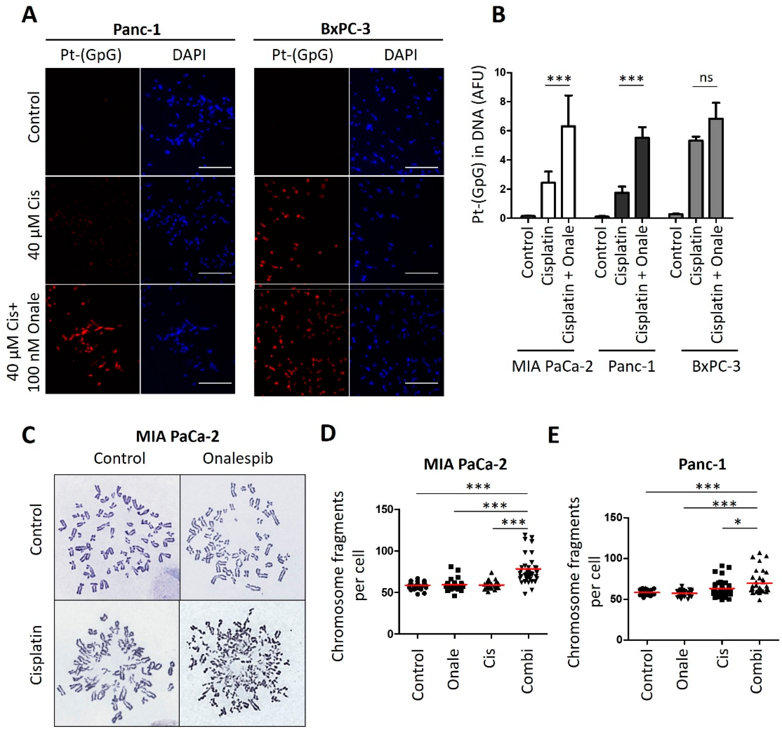 Cancers 13 06163 g004