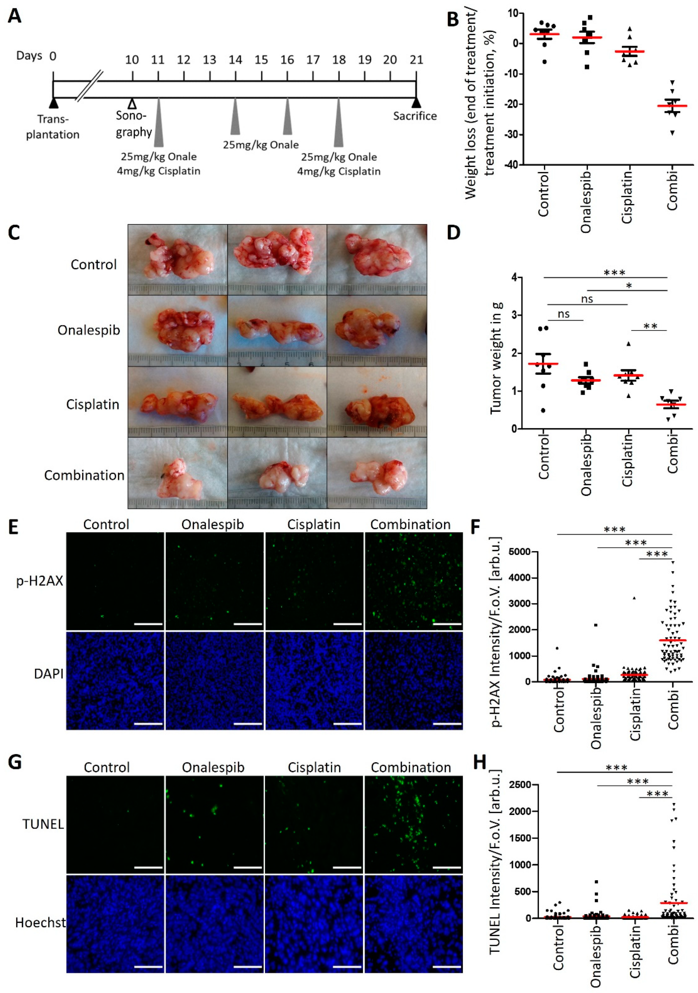 Cancers 13 06163 g006