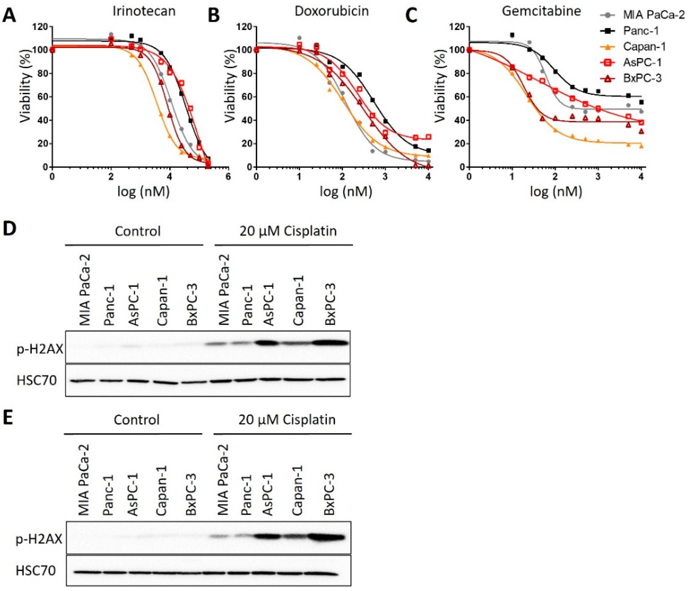 Cancers 13 06163 g0a1