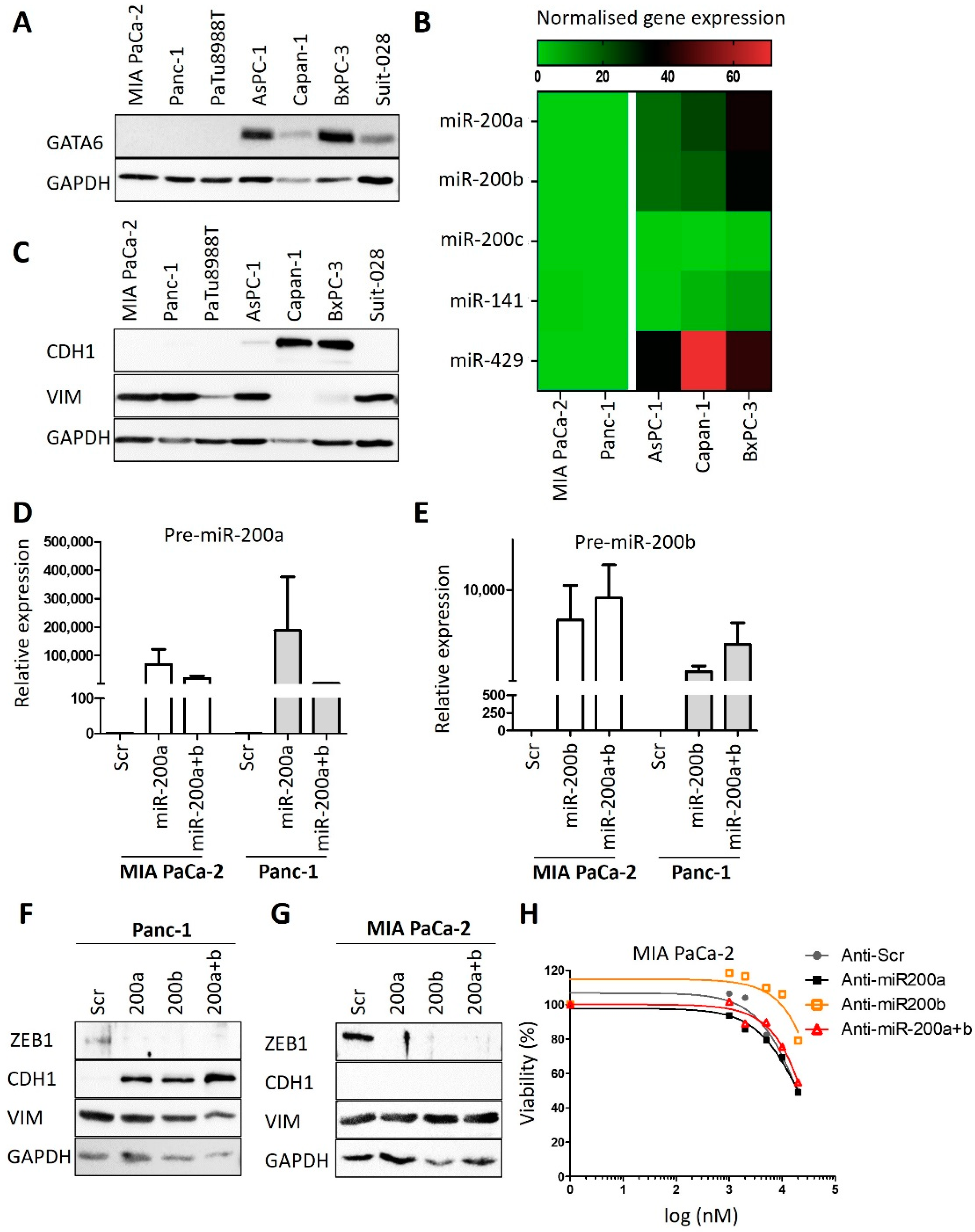 Cancers 13 06163 g0a2