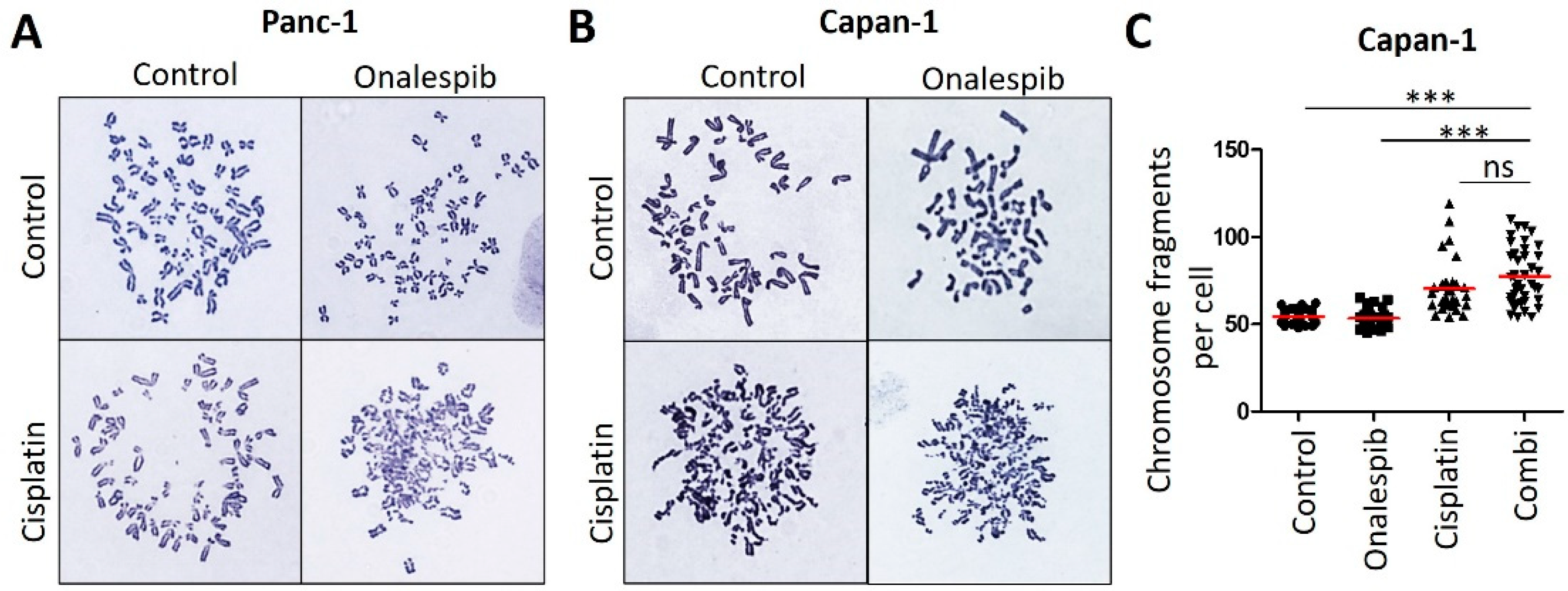 Cancers 13 06163 g0a4