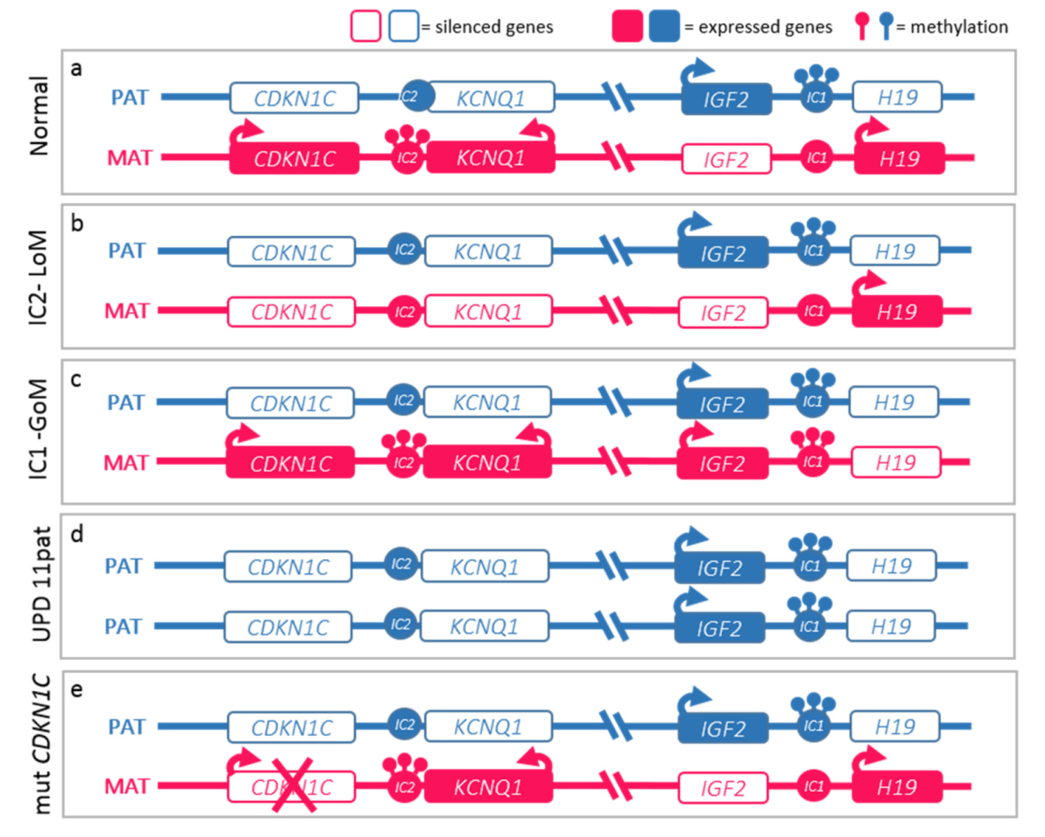 What does loms mean on facebook luliconnector