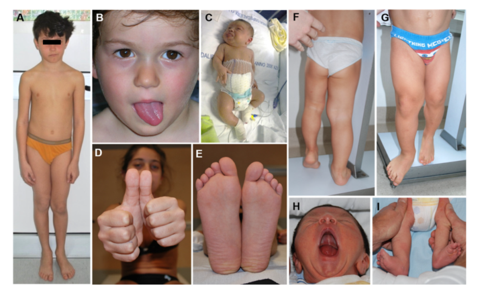 Cancers 13 06166 g003 550