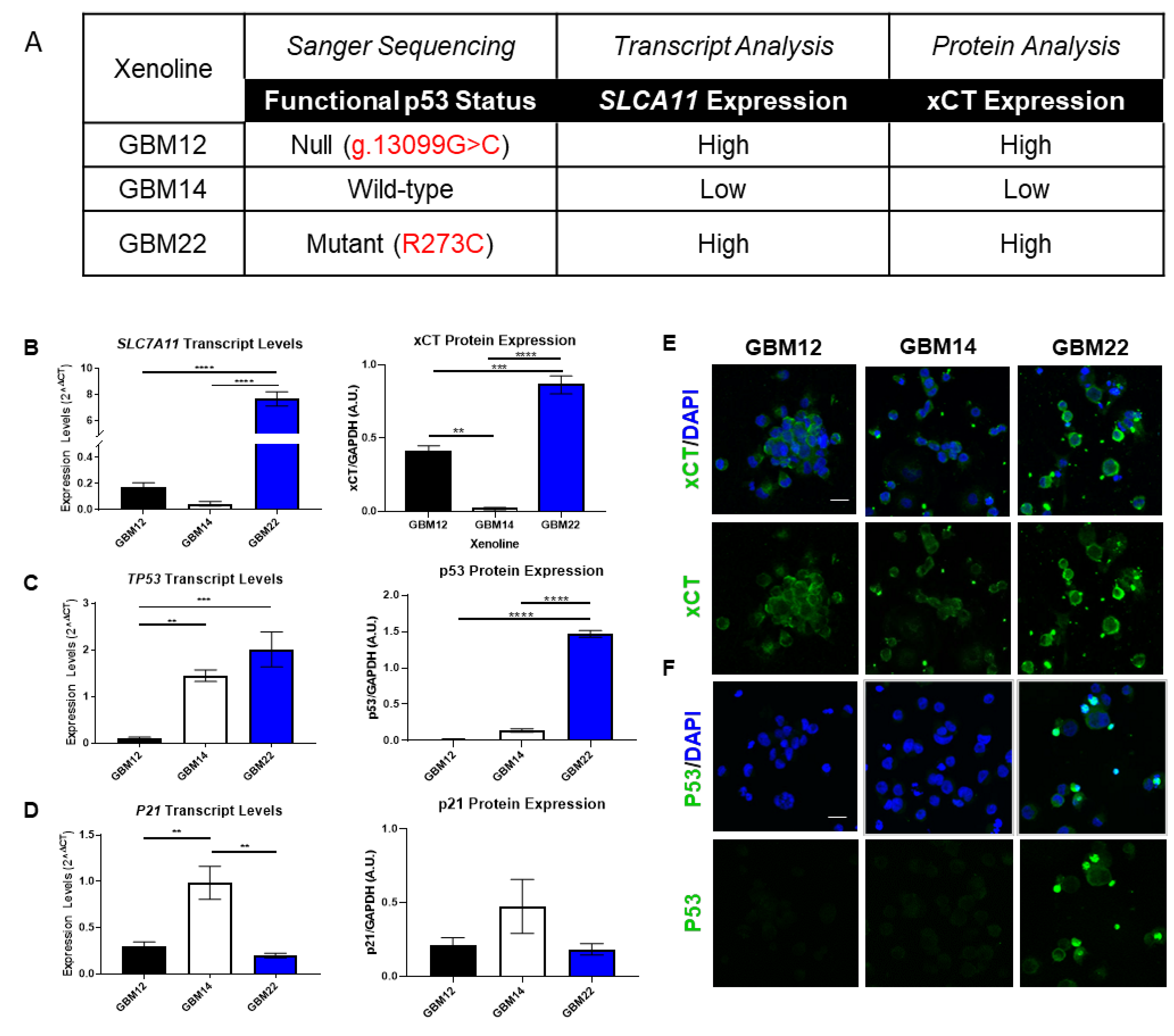 Cancers 13 06169 g001
