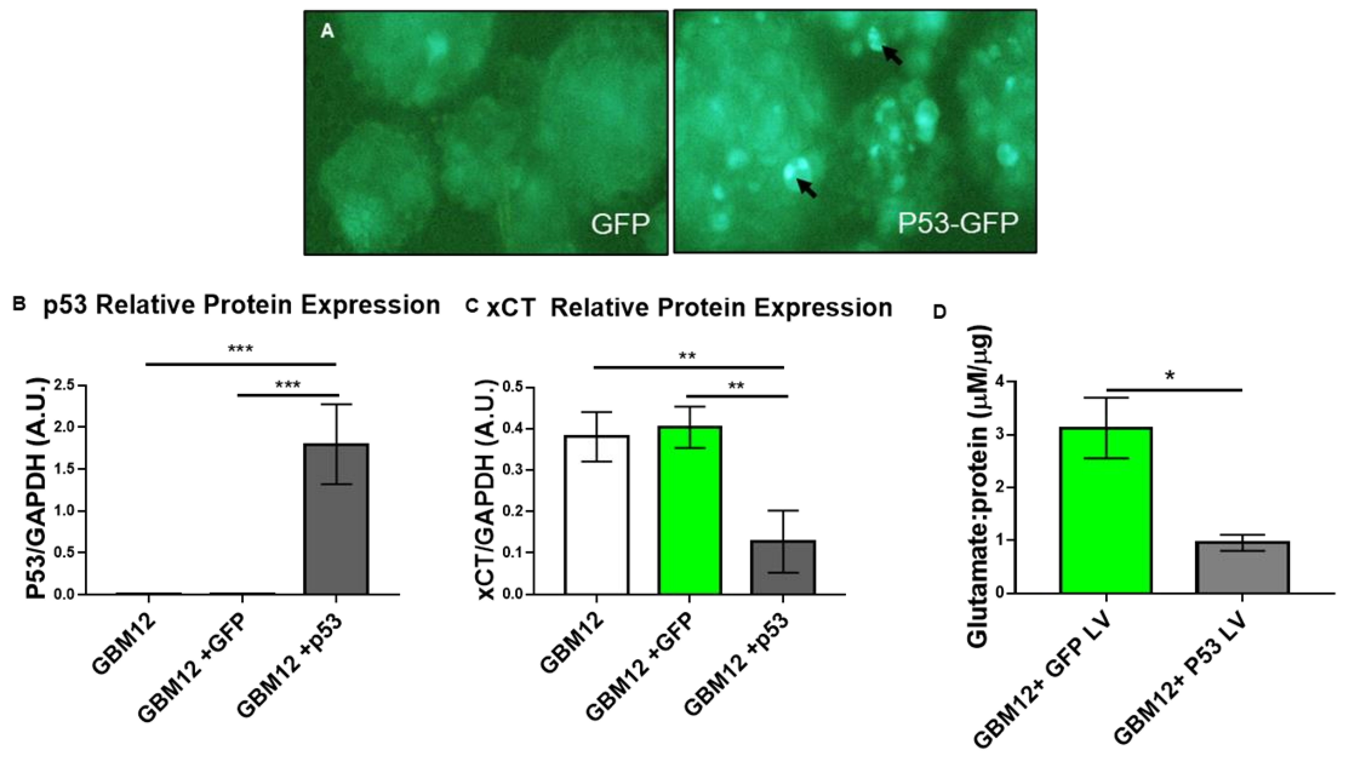Cancers 13 06169 g004
