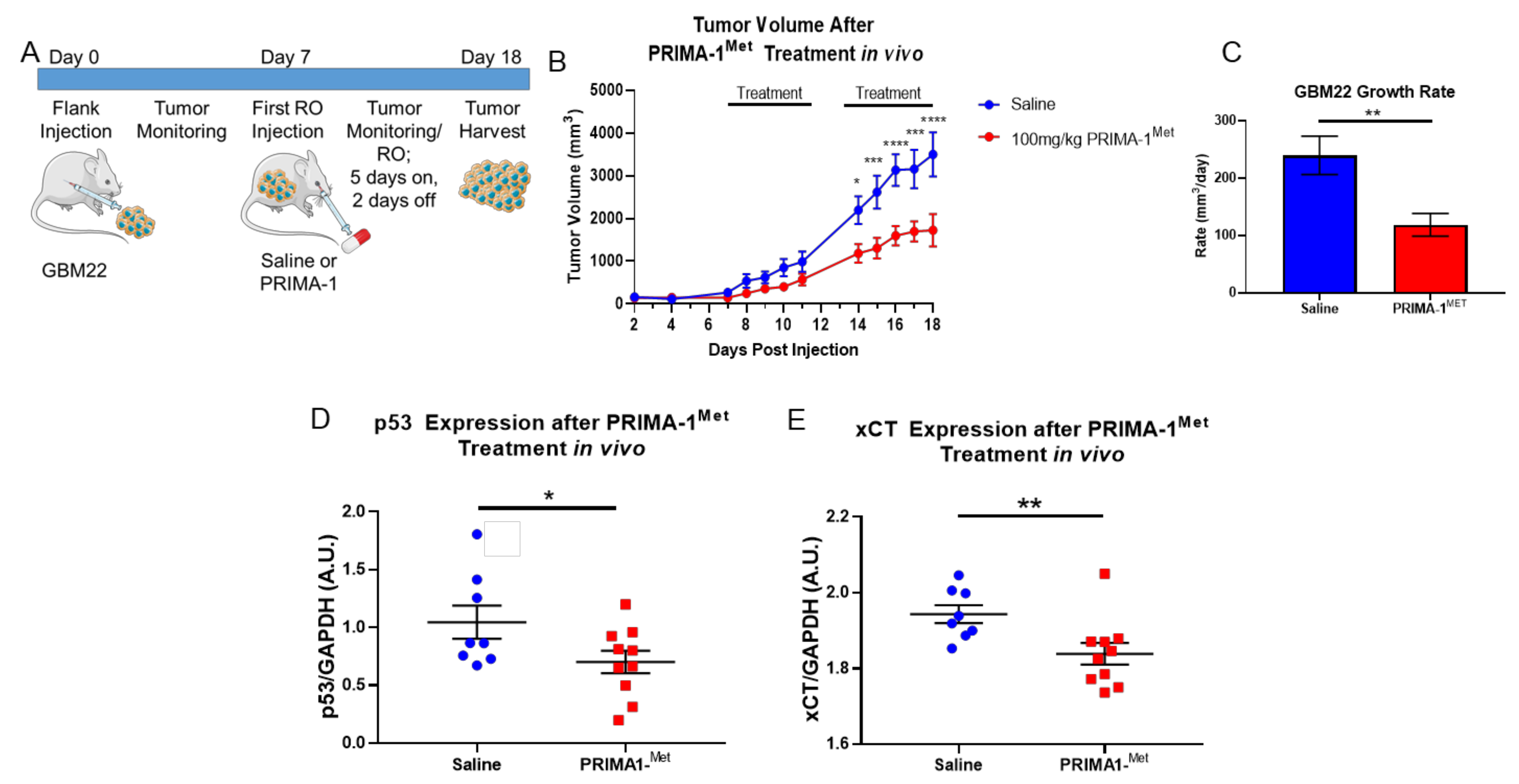 Cancers 13 06169 g005