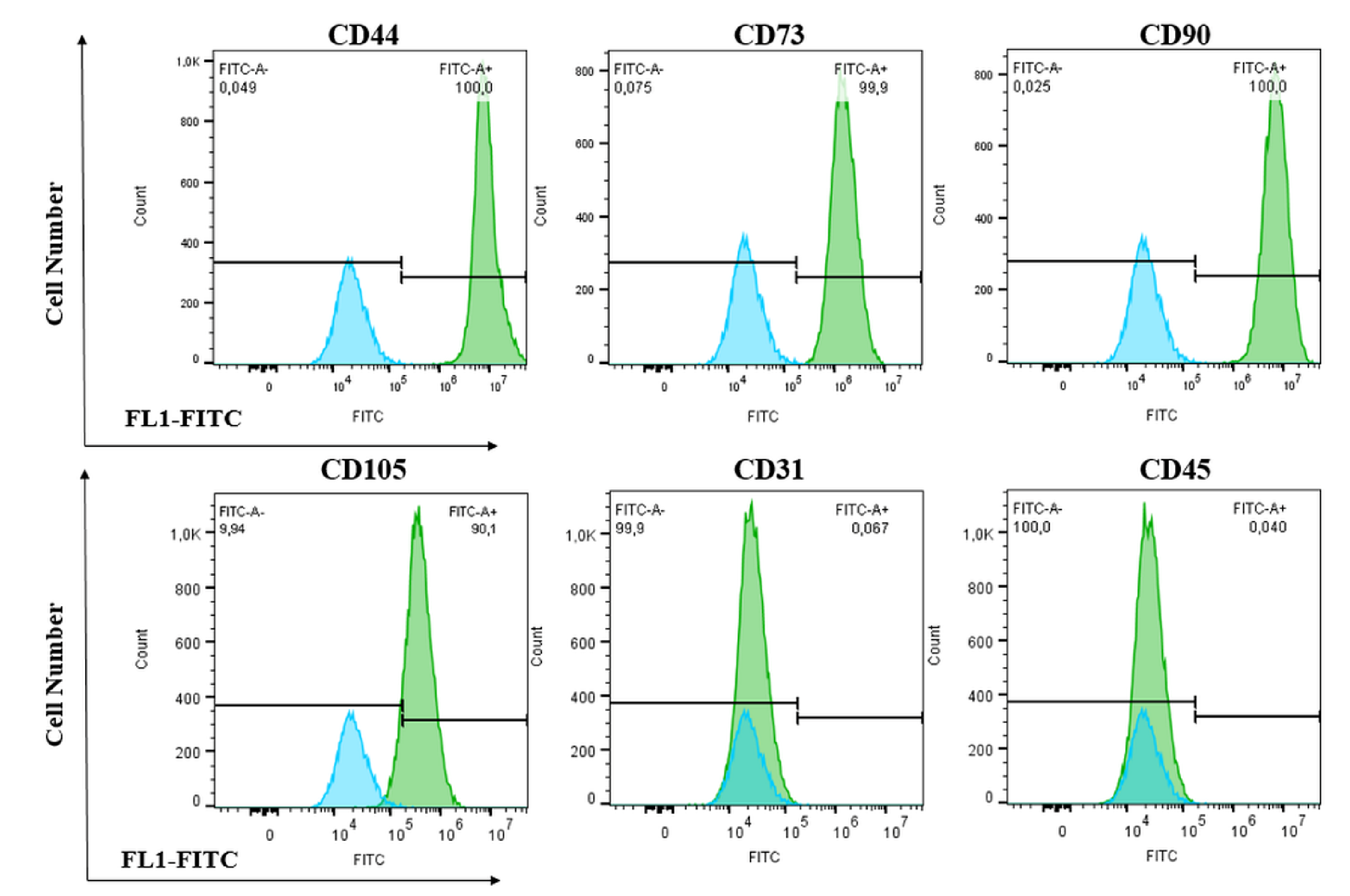 Cancers 13 06173 g002 Cancers 13 06173 g002