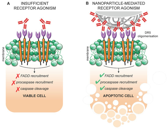Nanomedicine in Pancreatic Cancer: Current Status and Future
