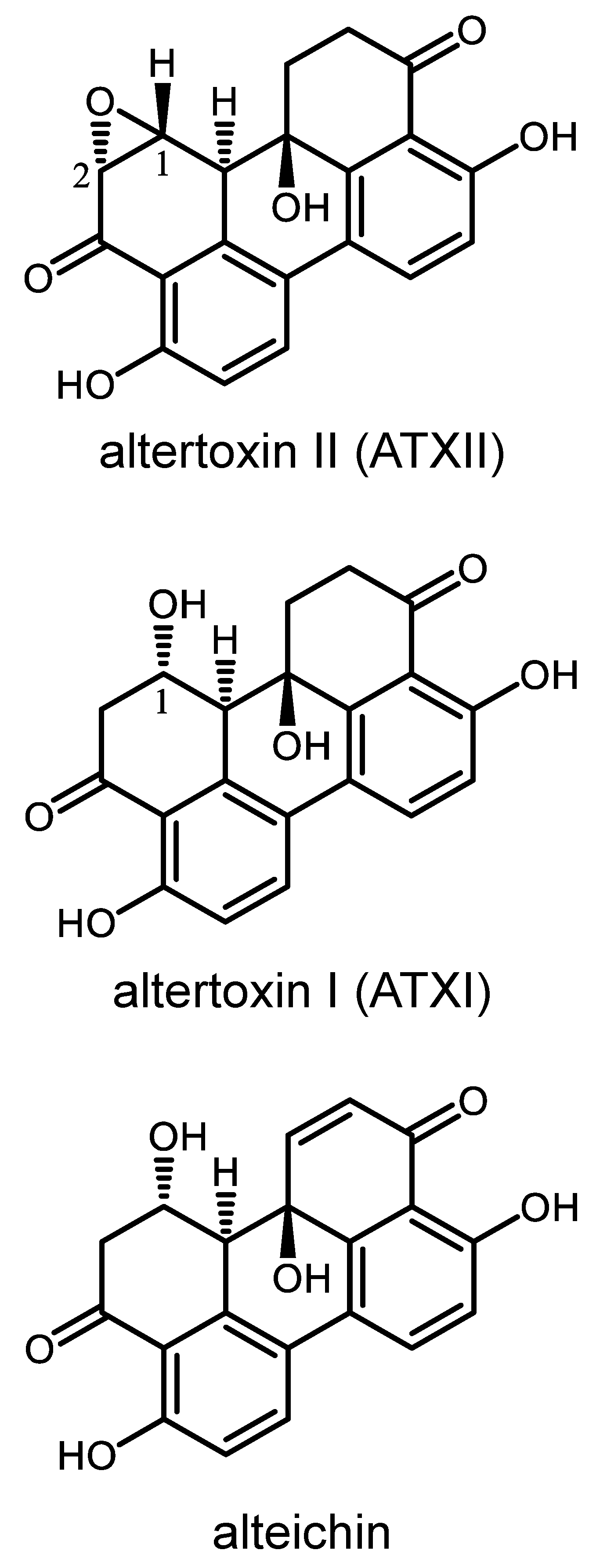 Cancers 13 06176 g001