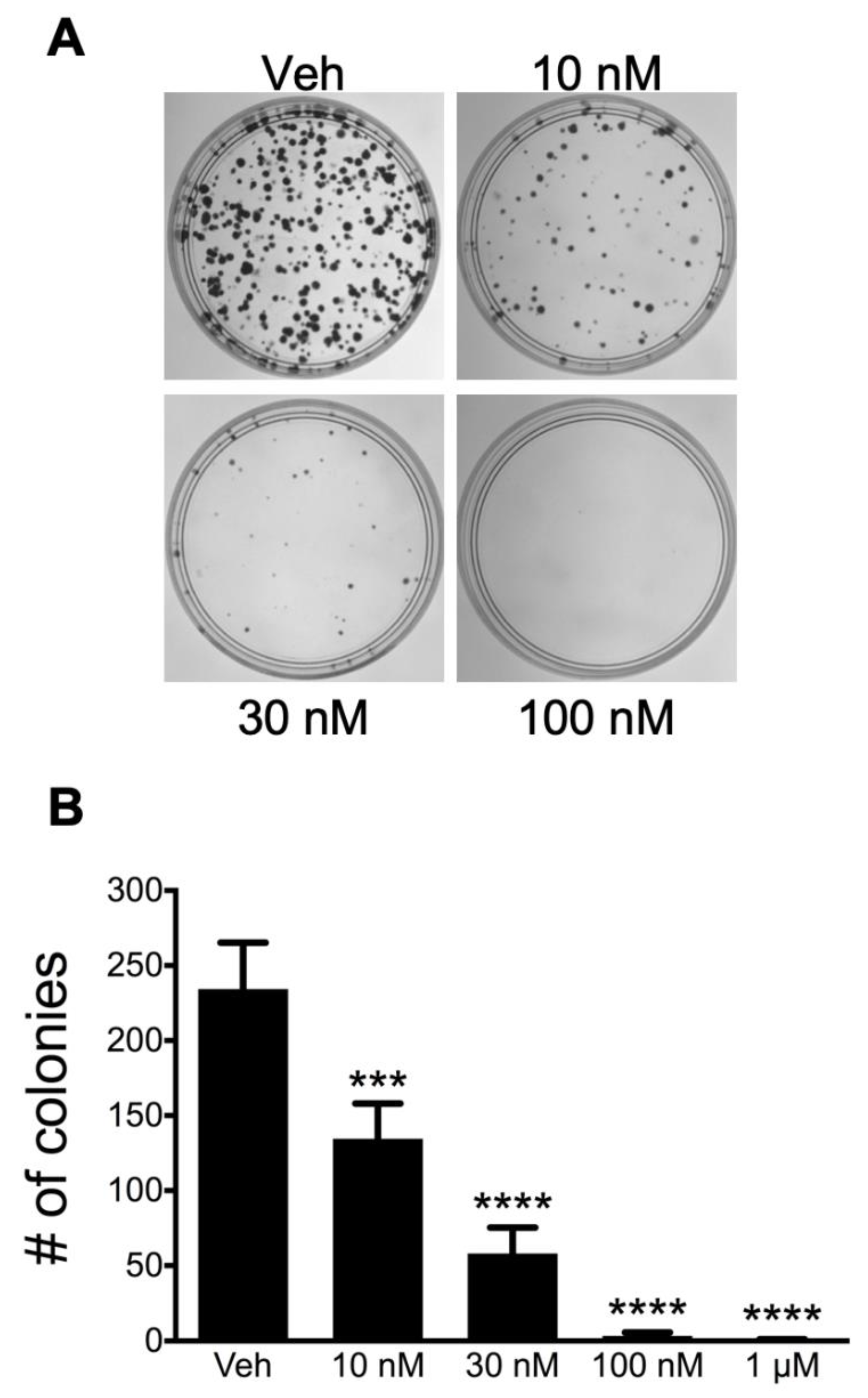 Cancers 13 06176 g003