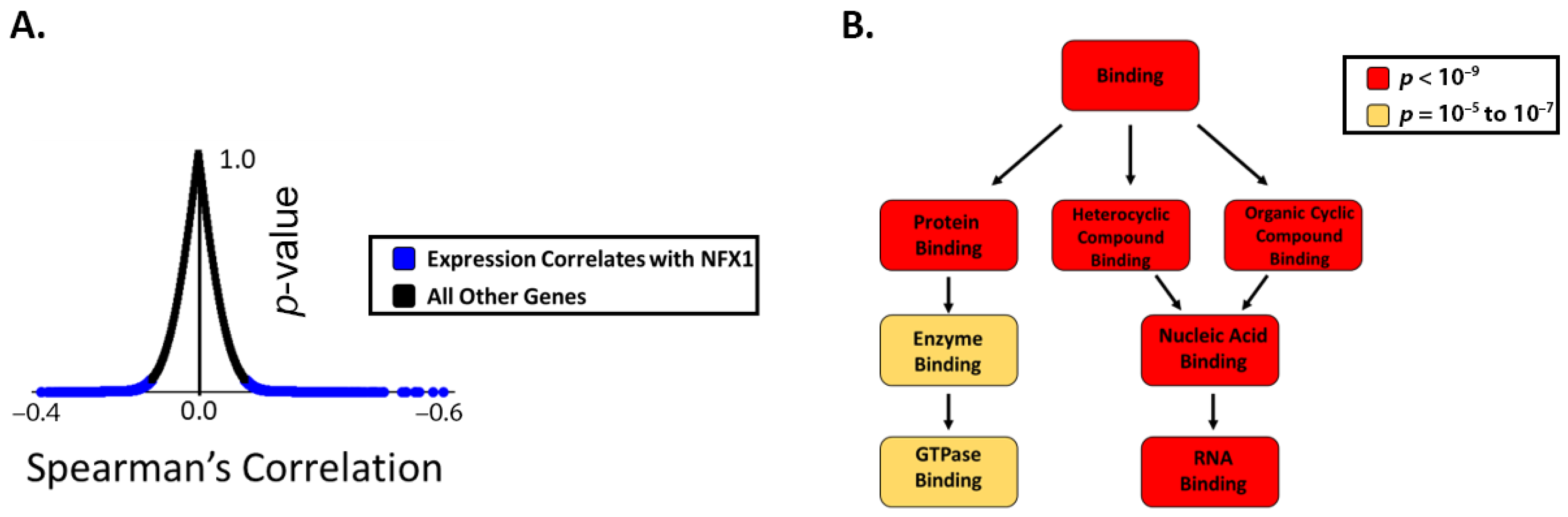 Cancers 13 06182 g001