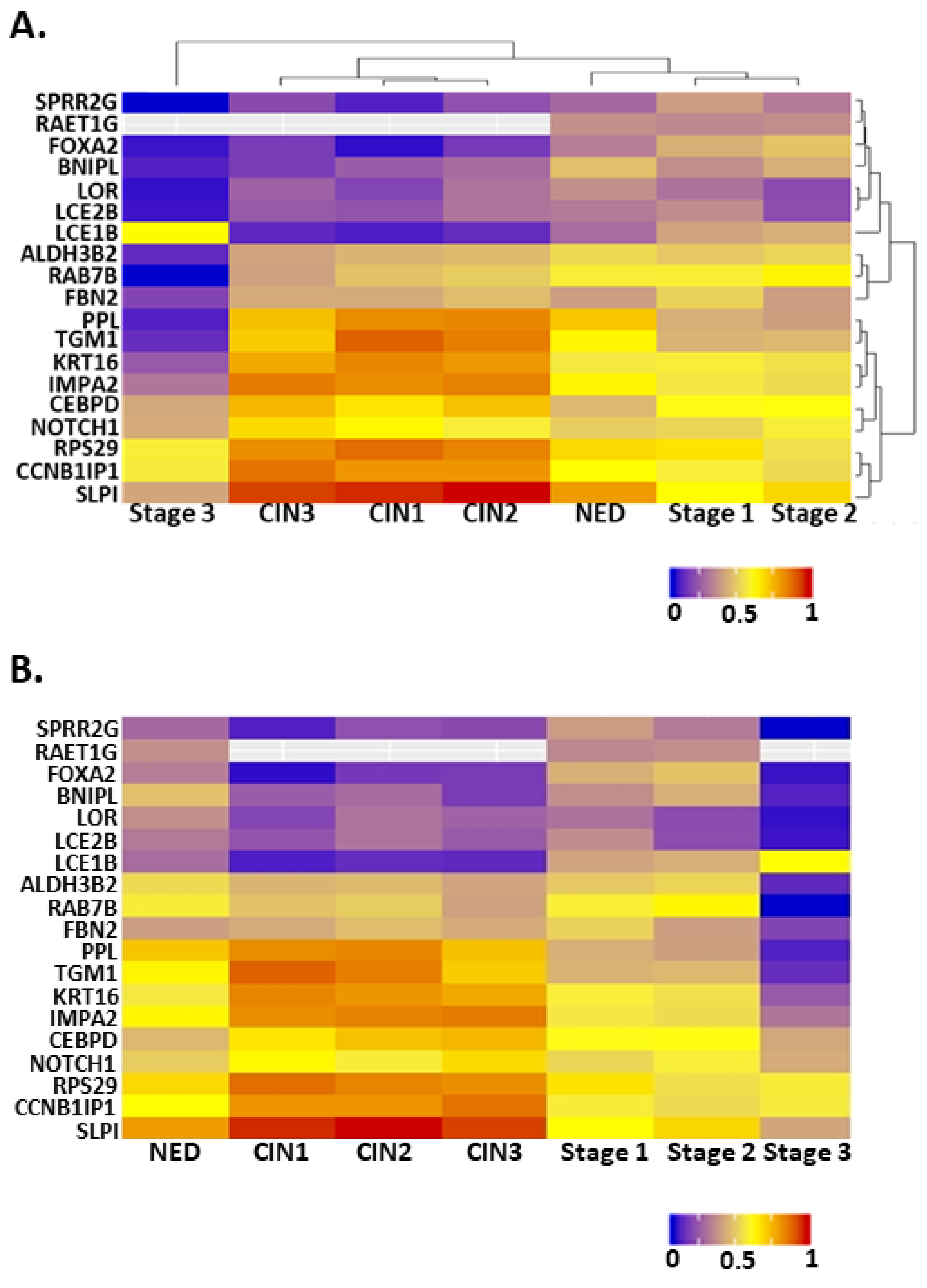 Cancers 13 06182 g002