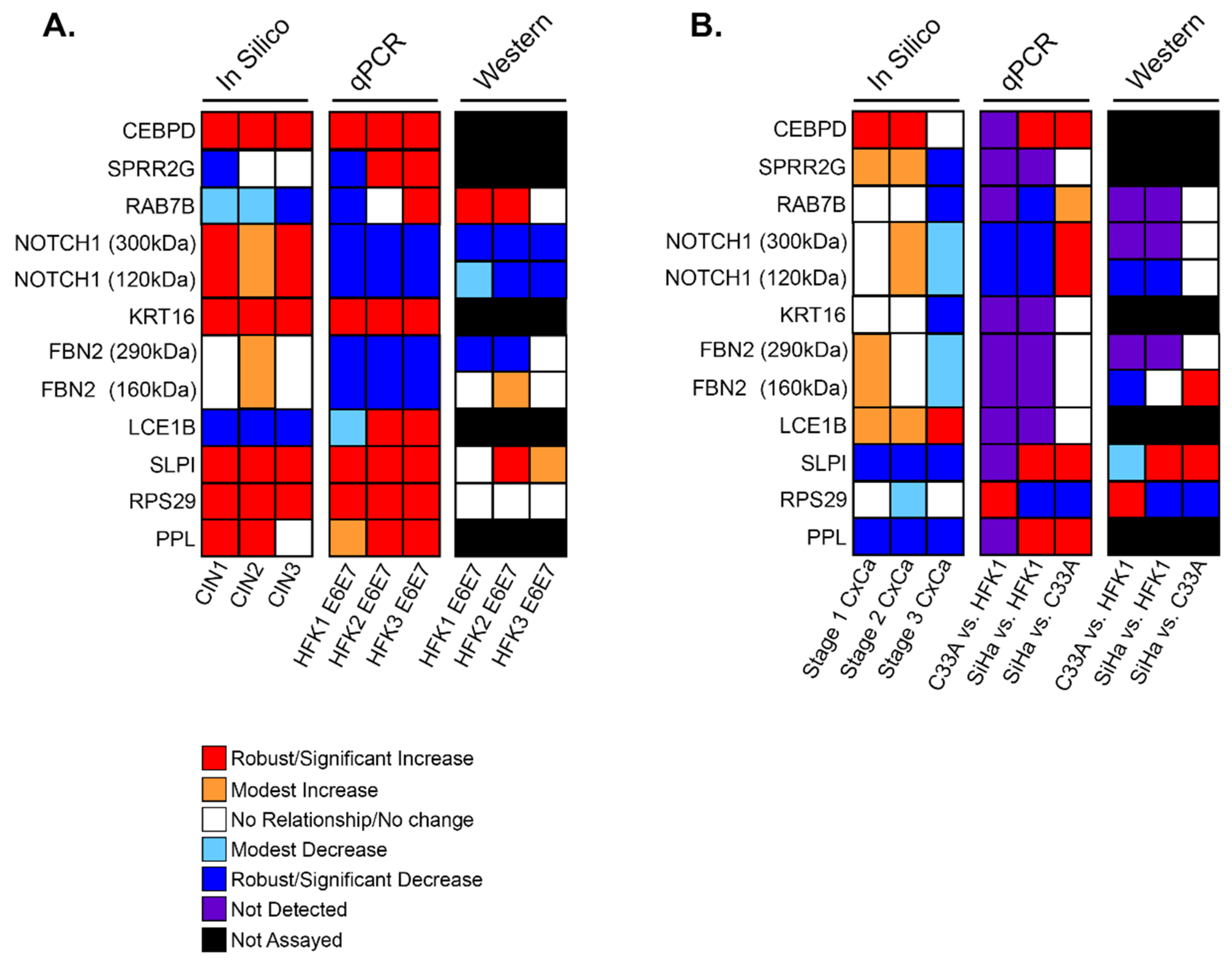 Cancers 13 06182 g004