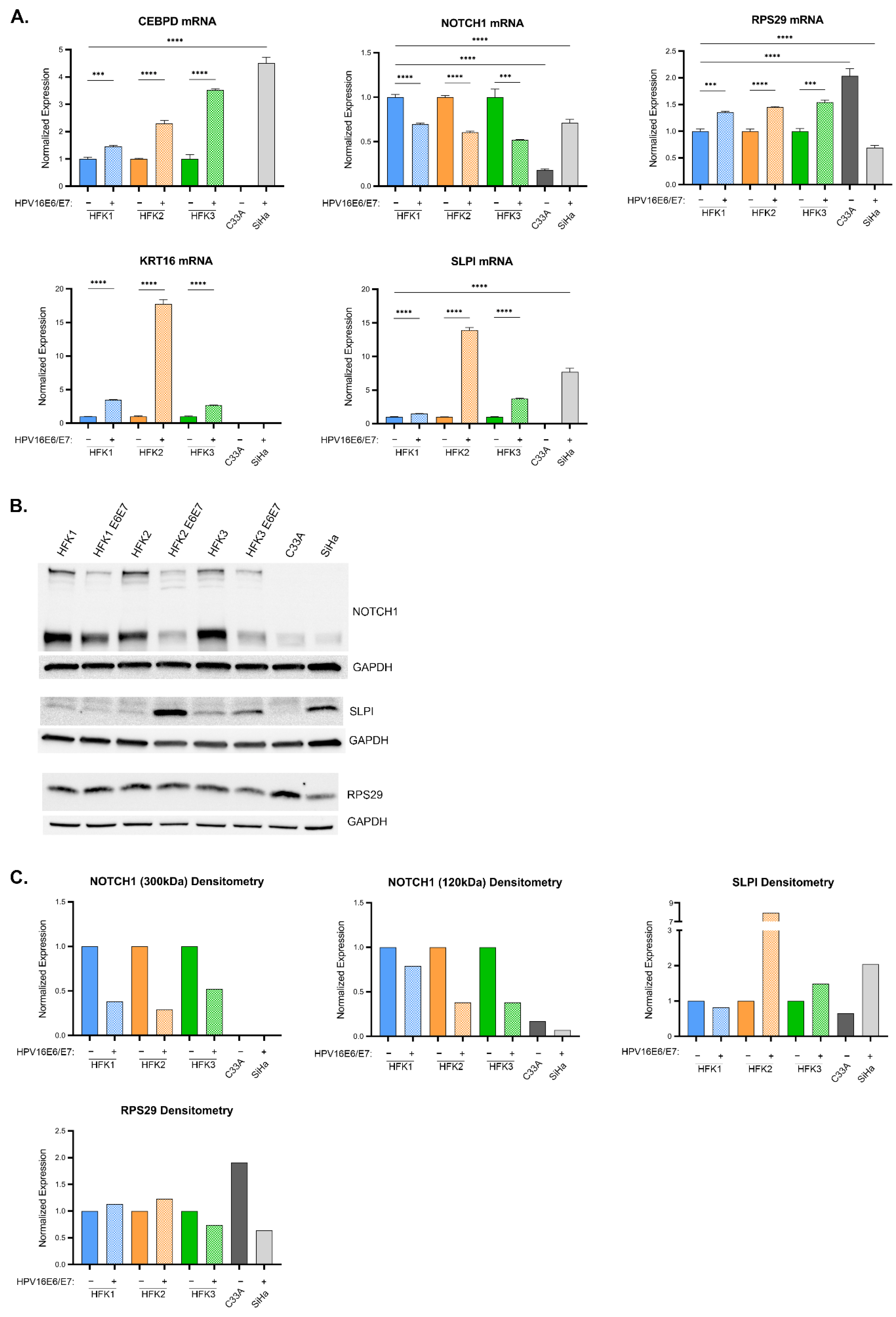 Cancers 13 06182 g005