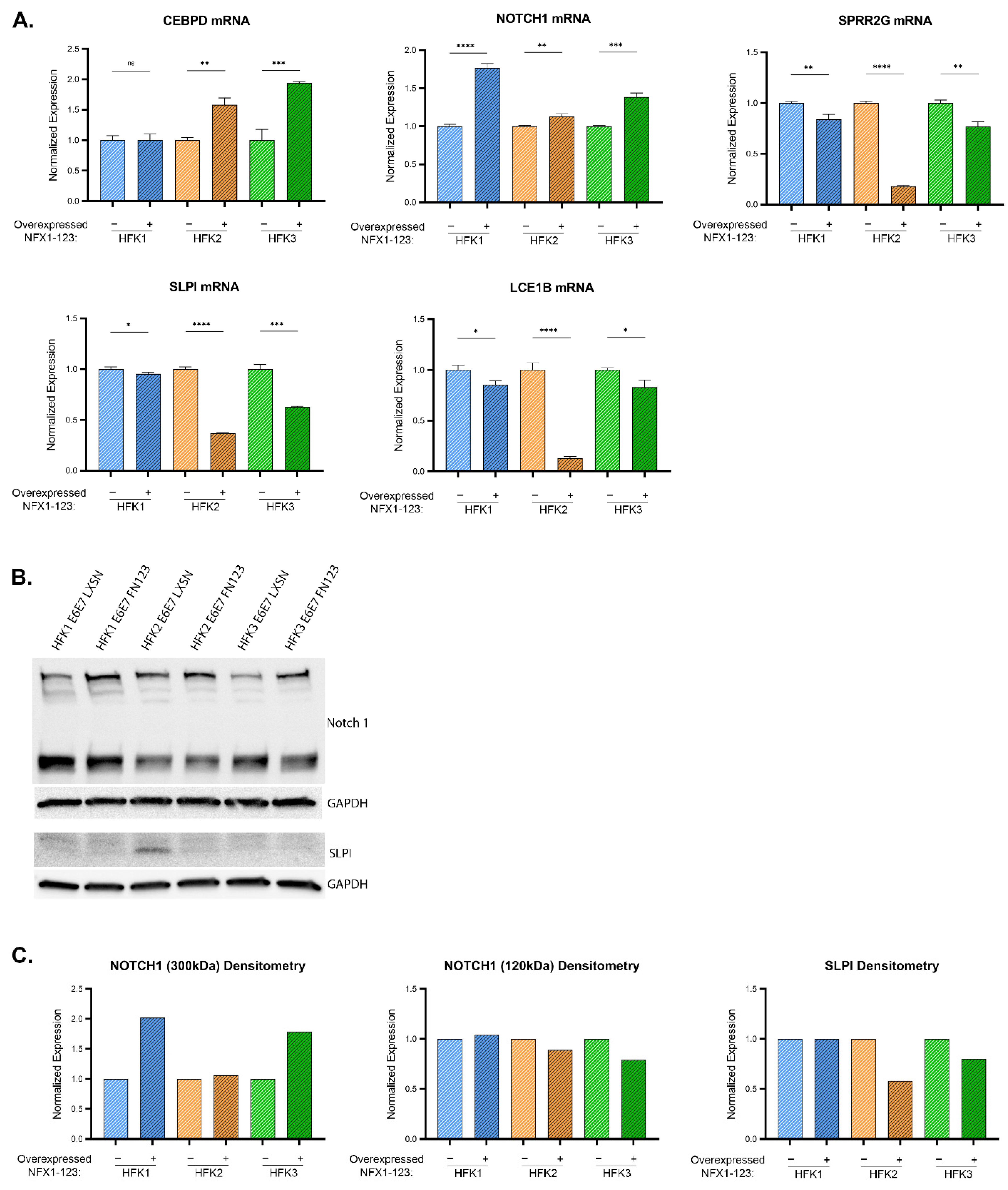 Cancers 13 06182 g007