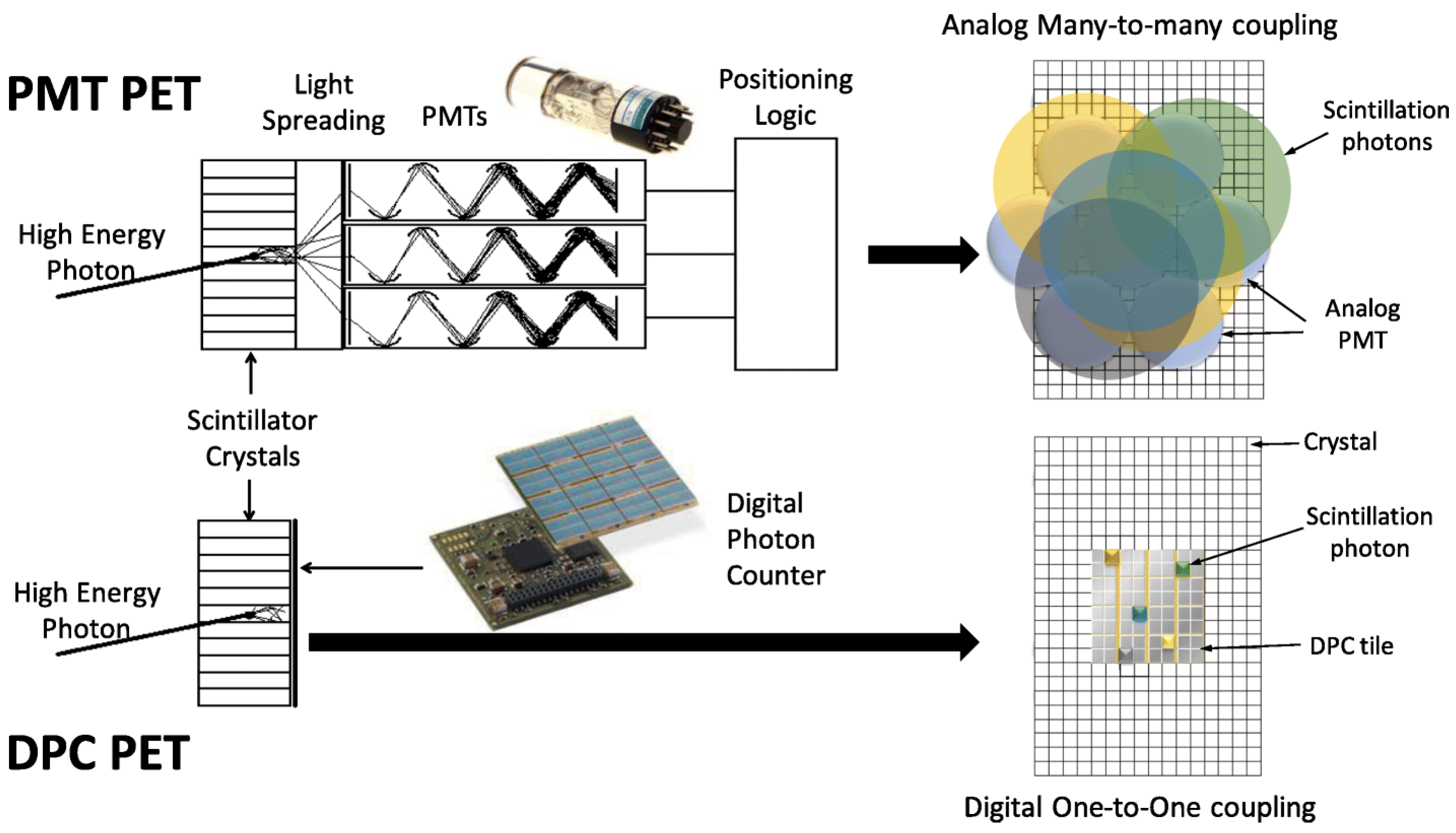 Cancers 13 06183 g005