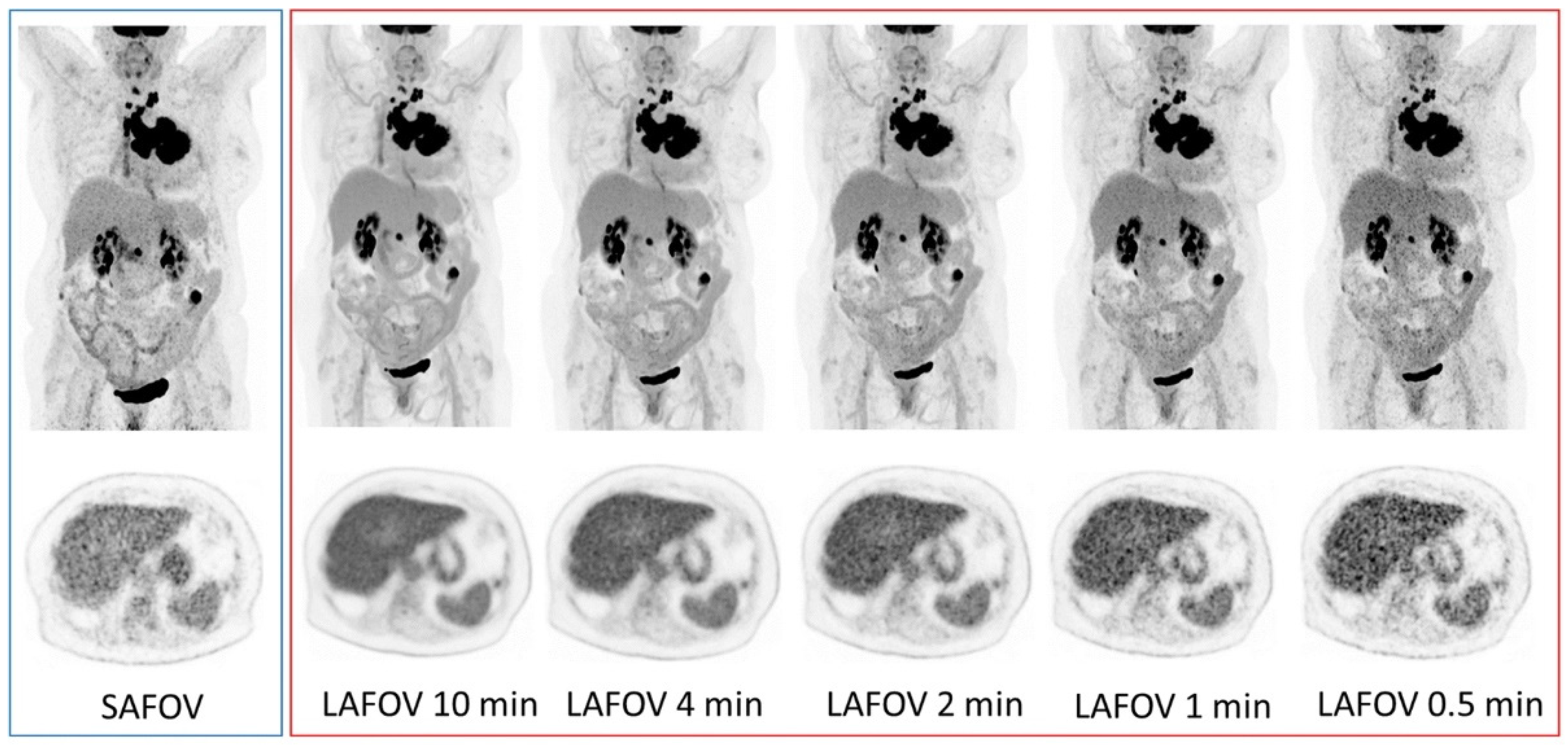 Cancers 13 06183 g008