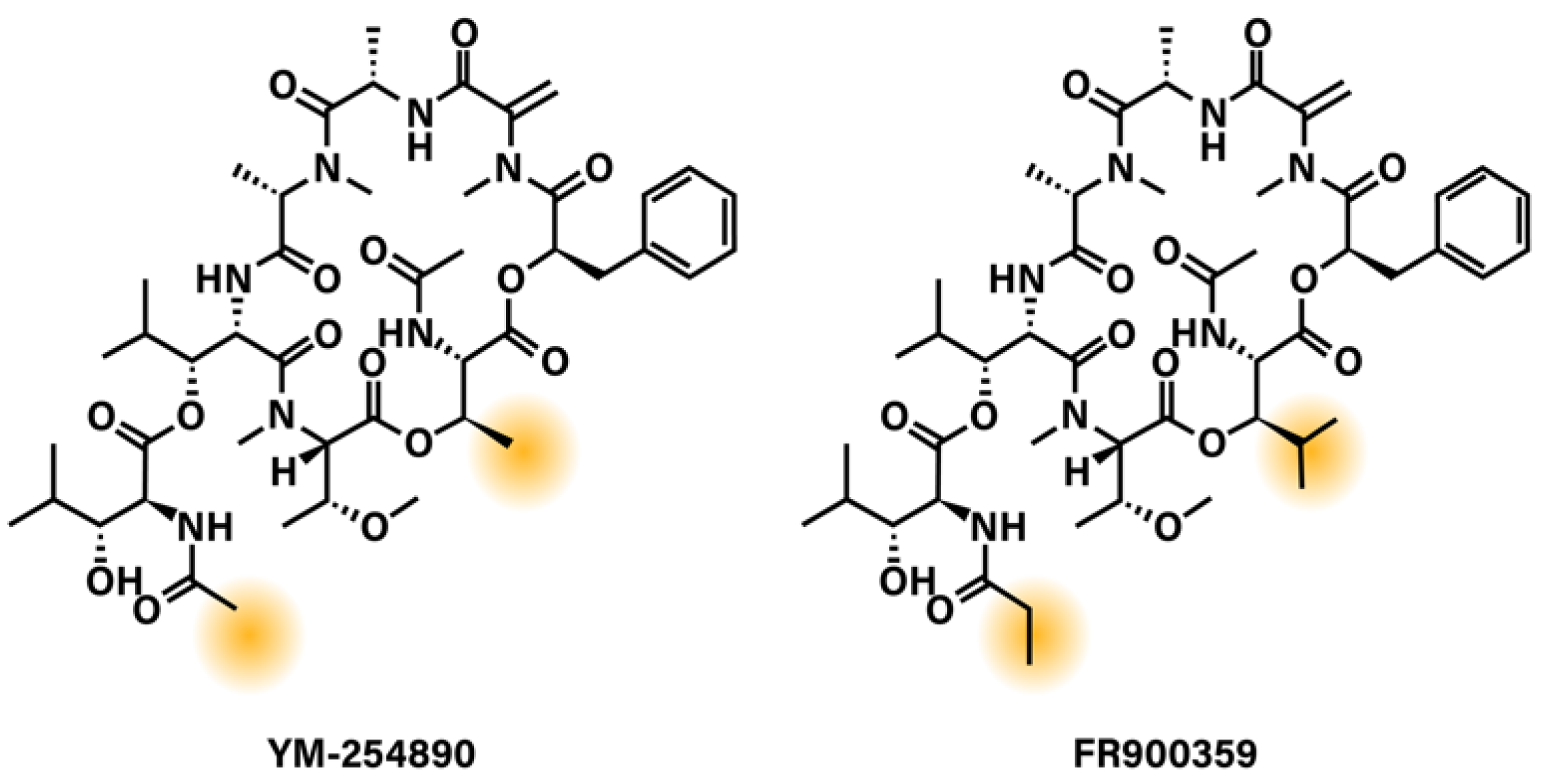Cancers 13 06195 g002 Cancers 13 06195 g002