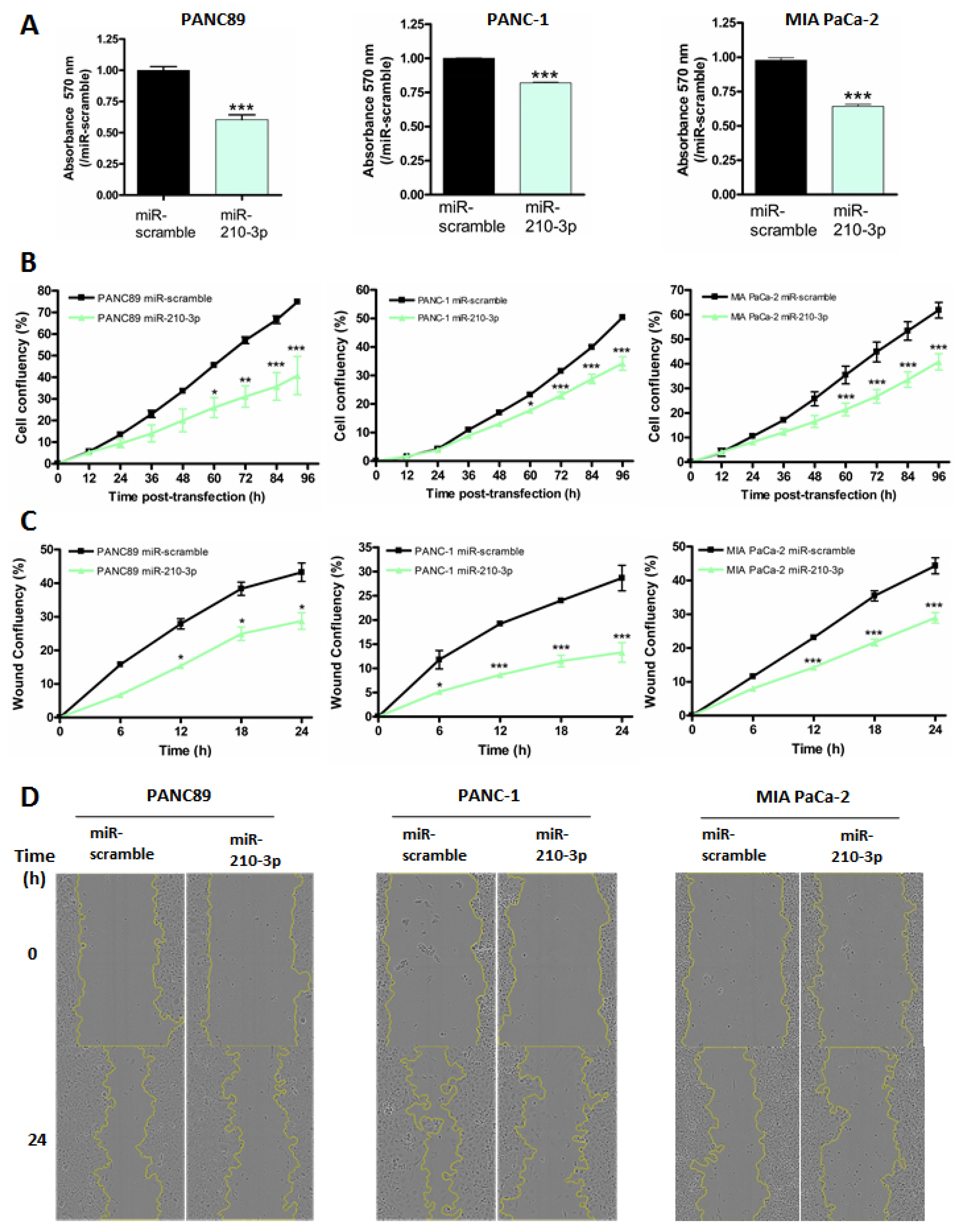 Cancers 13 06197 g005