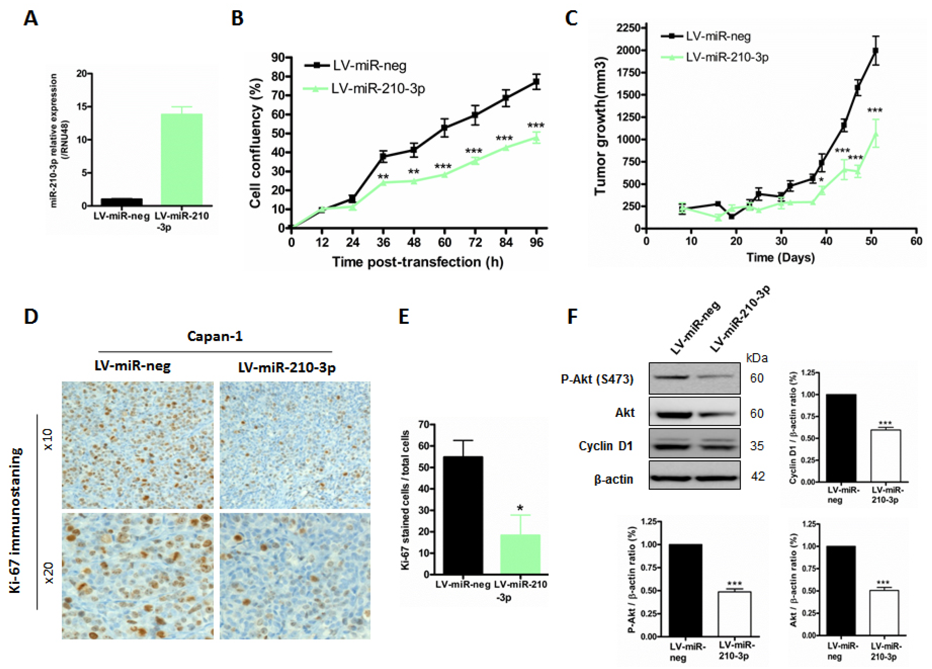 Cancers 13 06197 g007