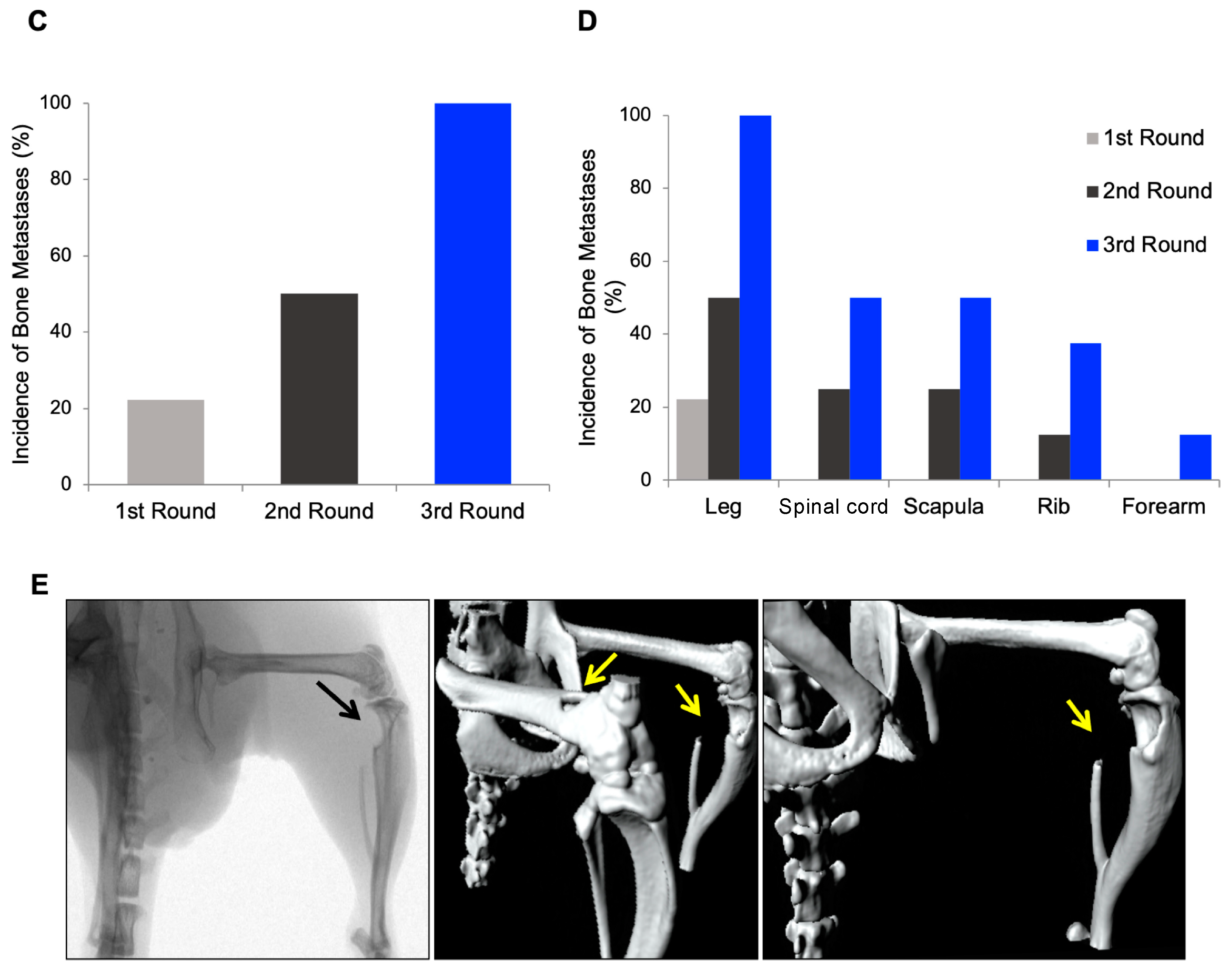 Cancers 13 06202 g001b