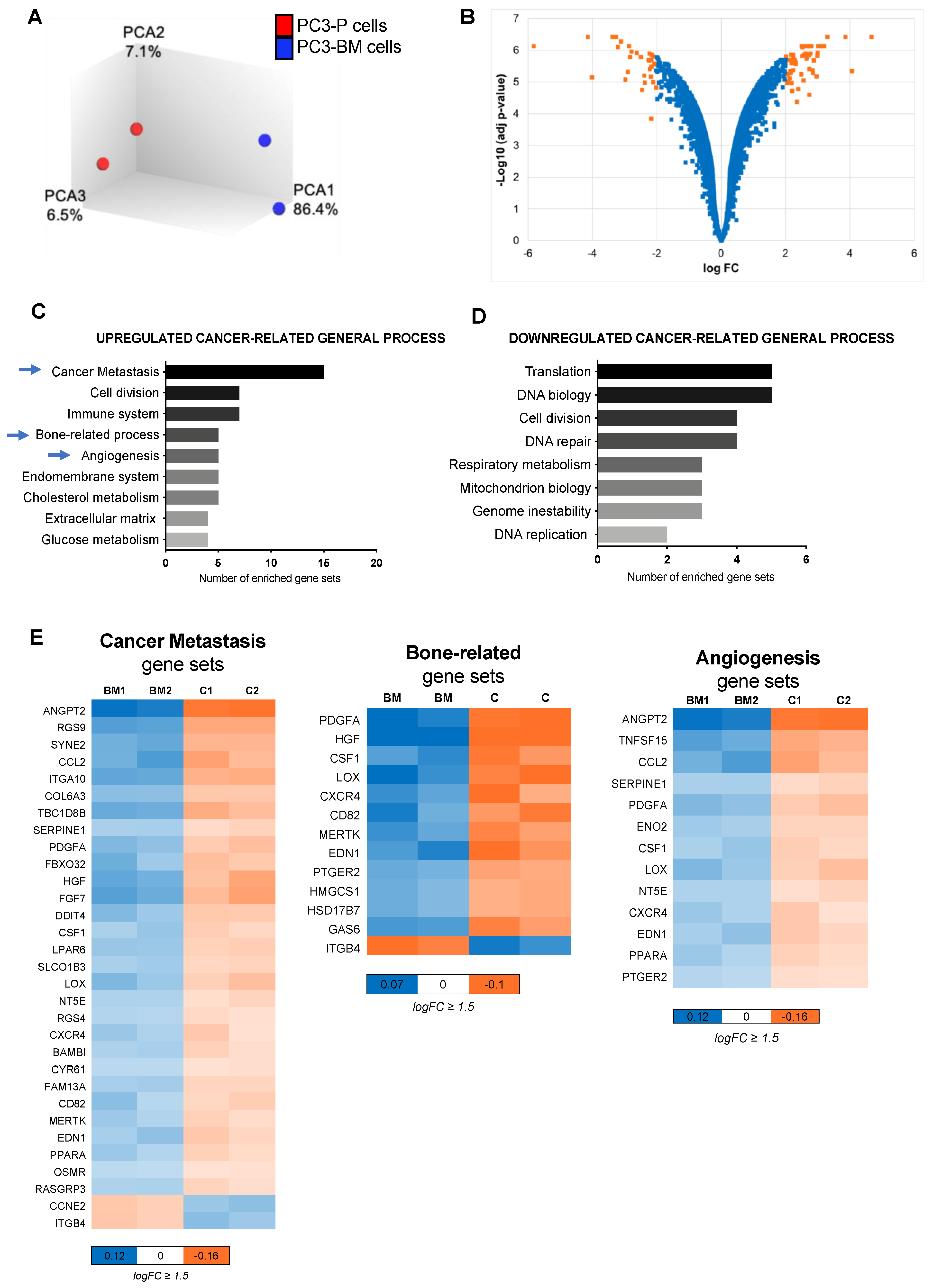 Cancers 13 06202 g002