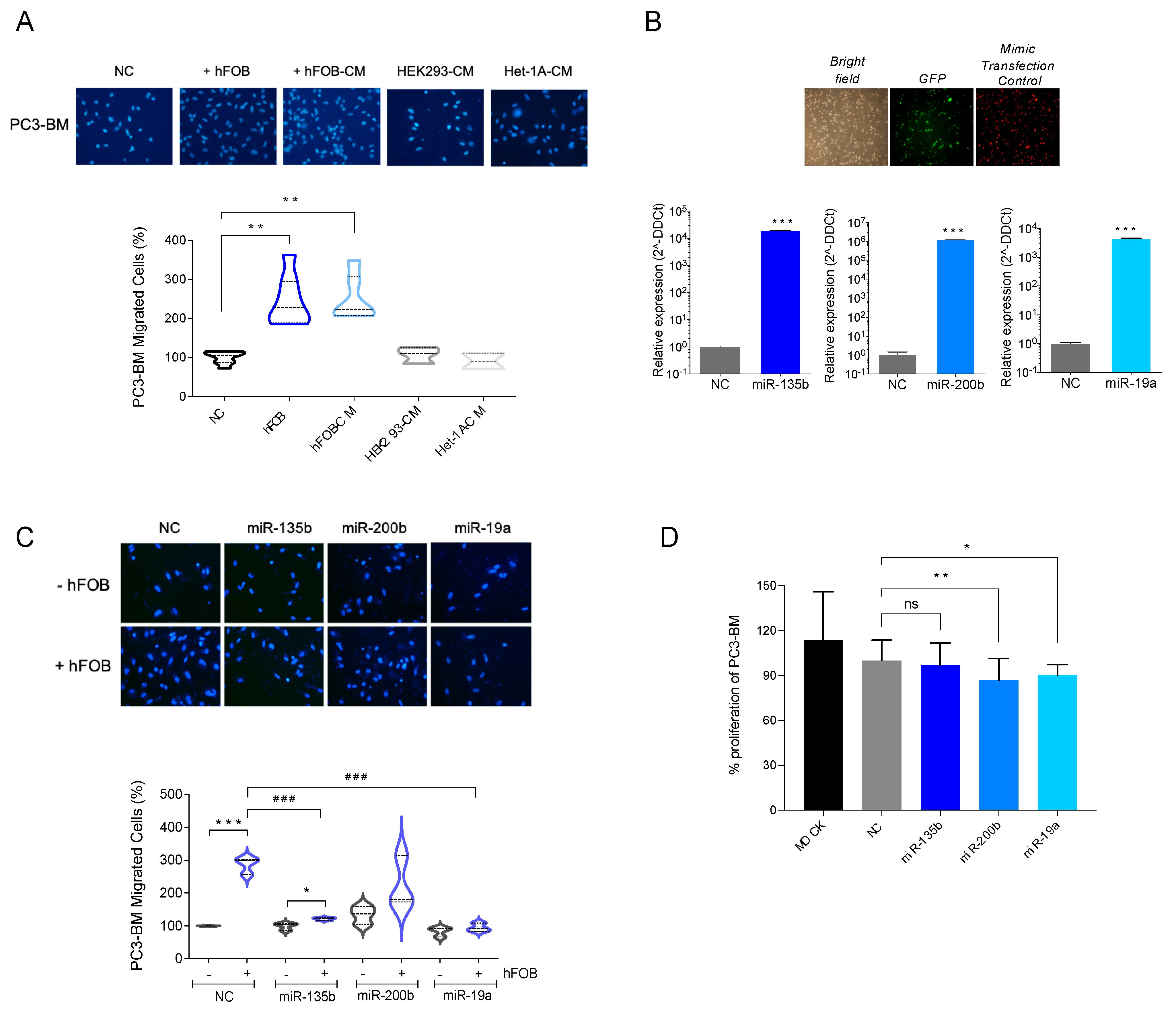 Cancers 13 06202 g004