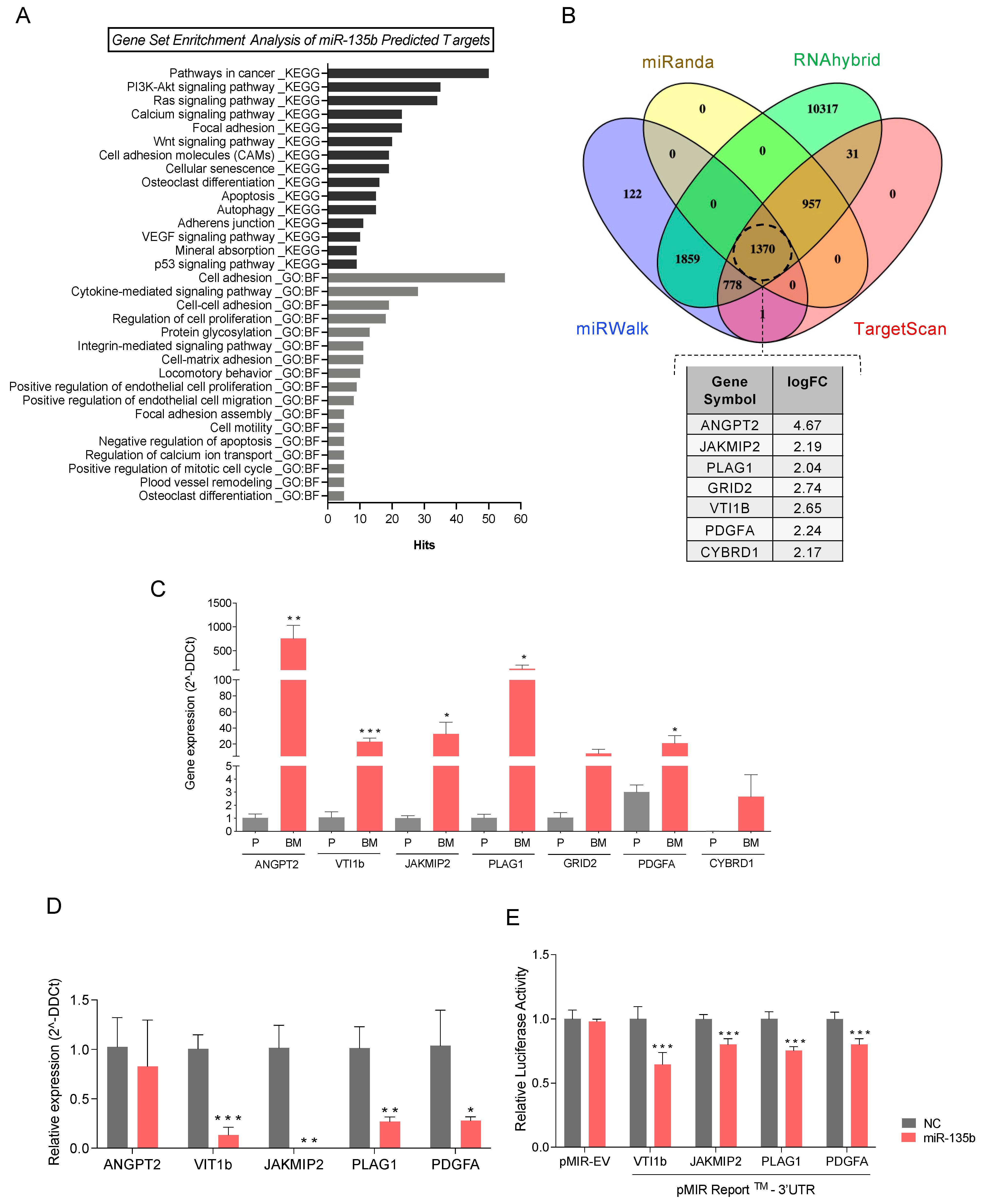 Cancers 13 06202 g005