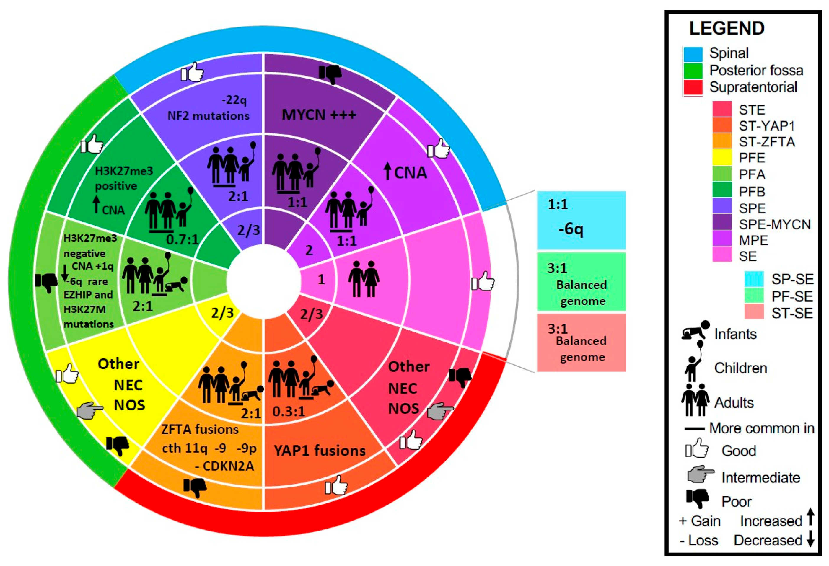 Cancers 13 06218 g001 Cancers 13 06218 g001