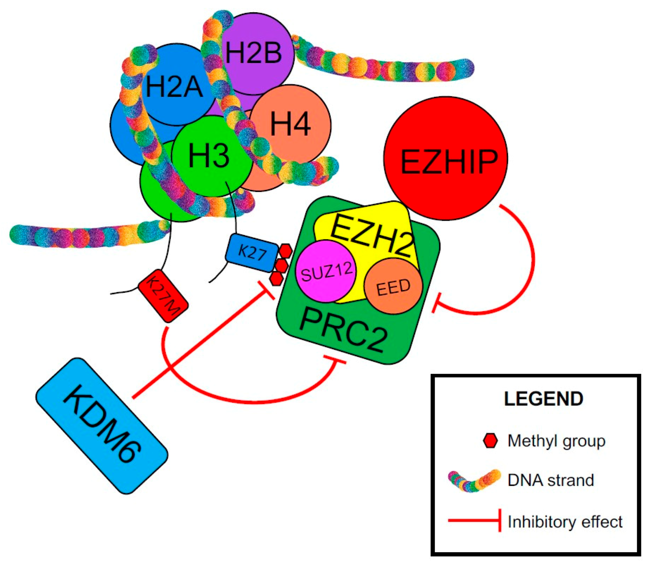 Cancers 13 06218 g003 Cancers 13 06218 g003
