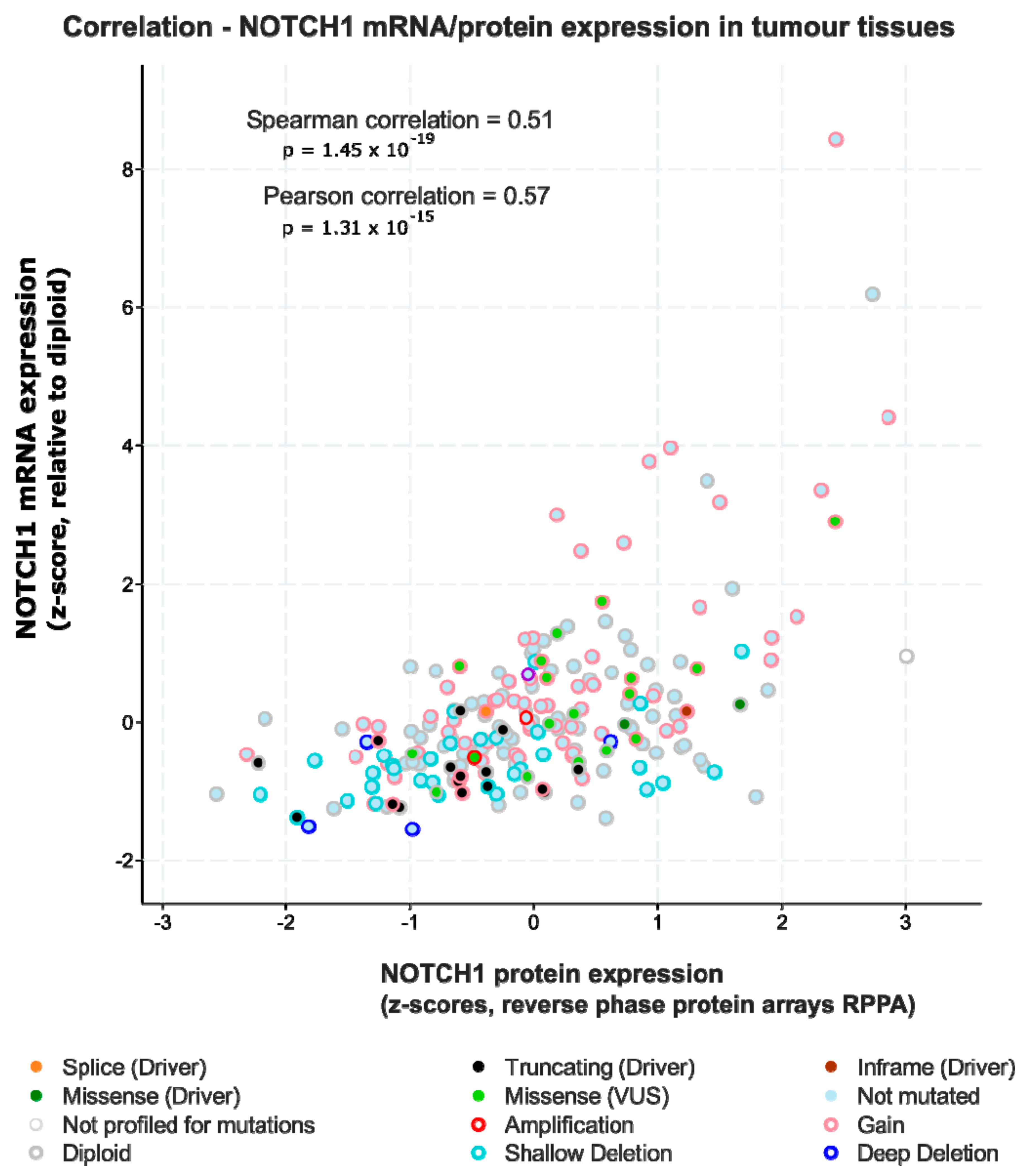 Cancers 13 06219 g002