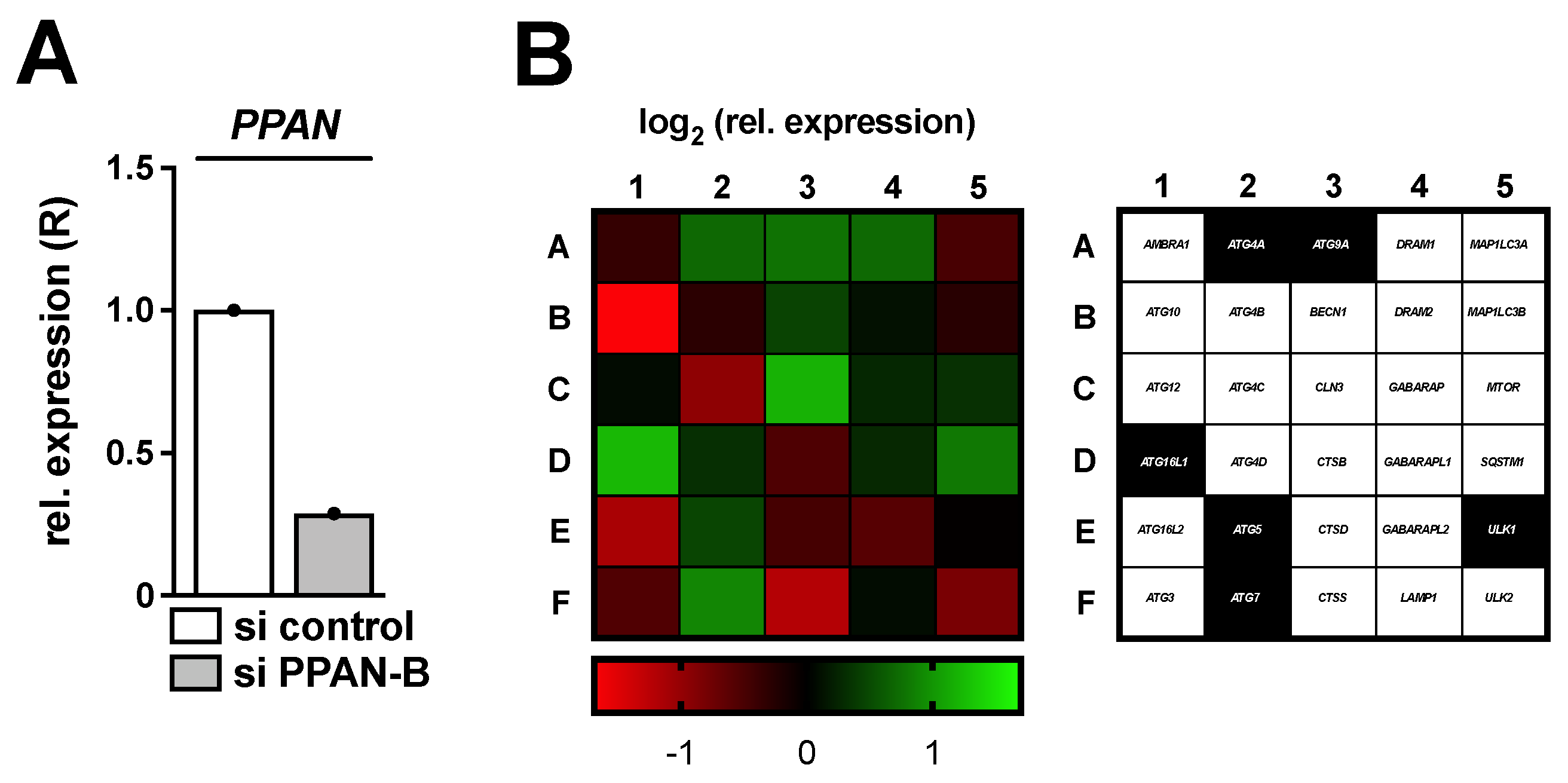 Cancers 13 06220 g001