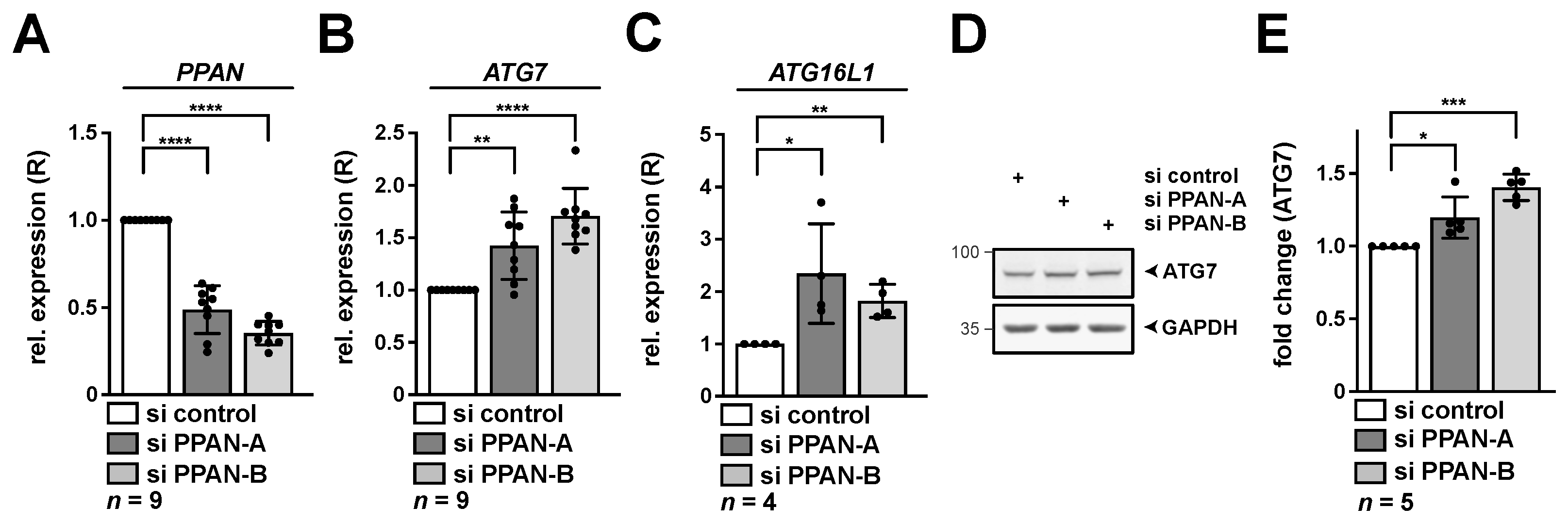 Cancers 13 06220 g002