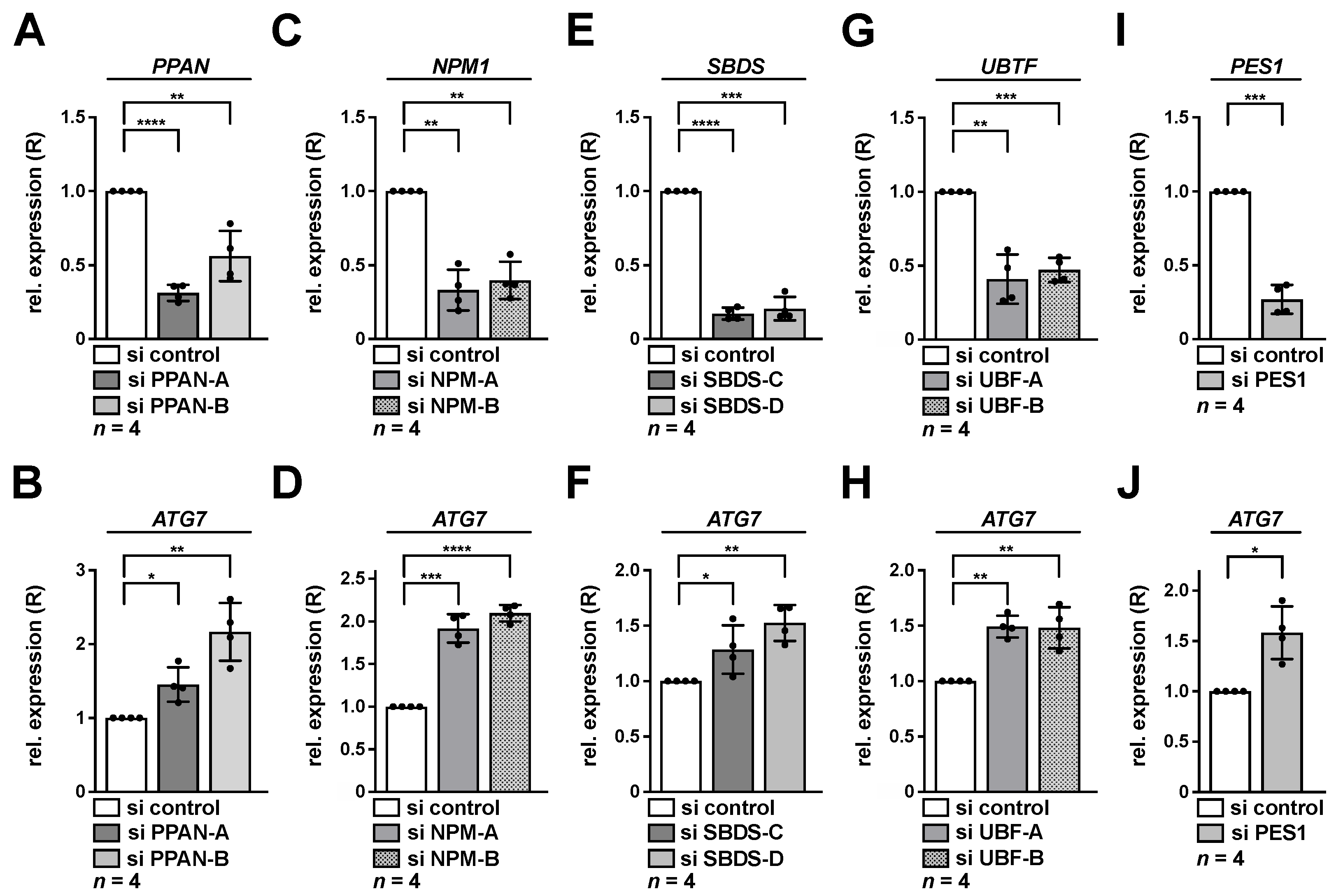 Cancers 13 06220 g004