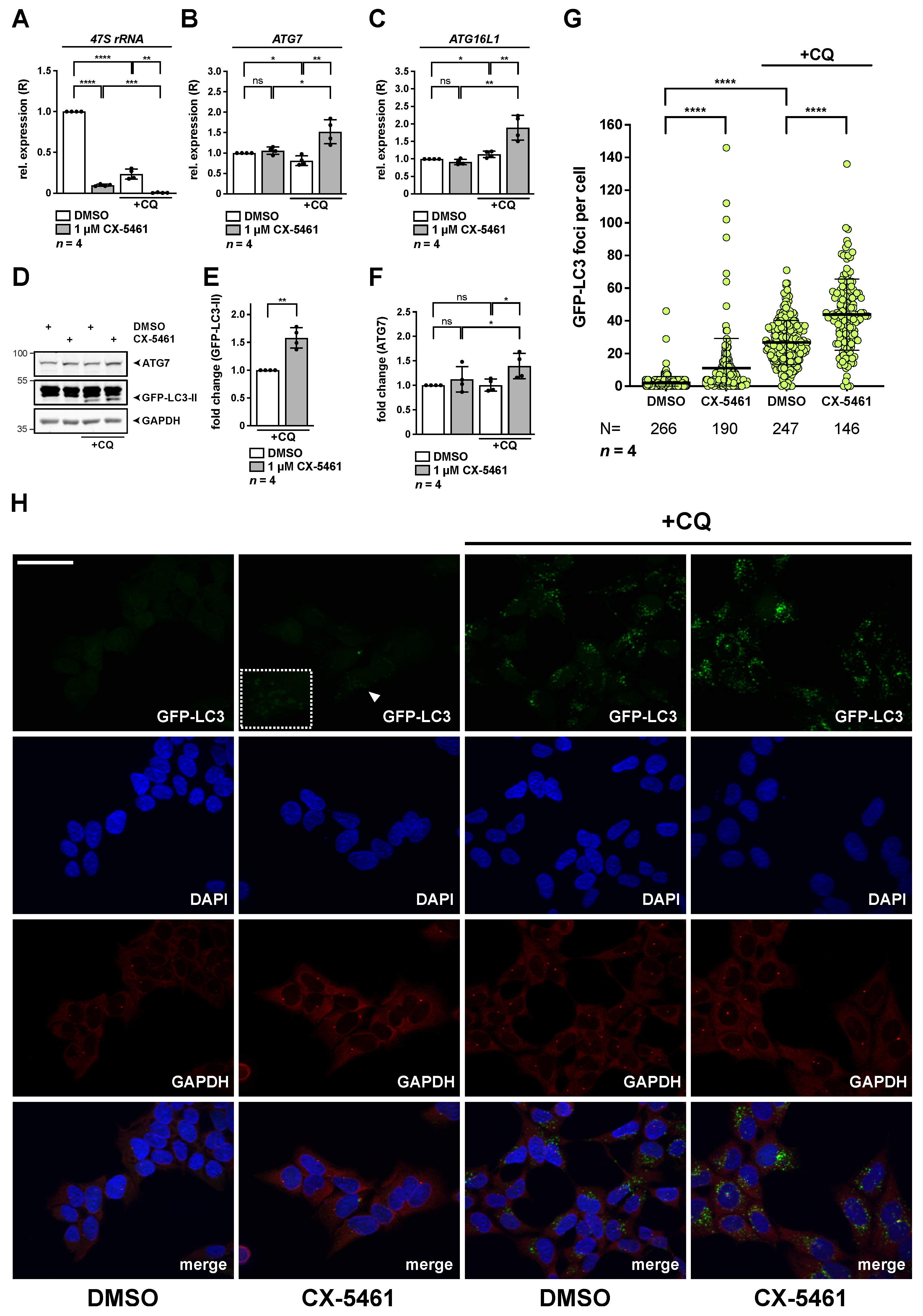 Cancers 13 06220 g007