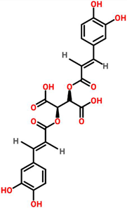 Cancers 13 06222 i002 Cancers 13 06222 i002