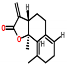 Cancers 13 06222 i012 Cancers 13 06222 i012