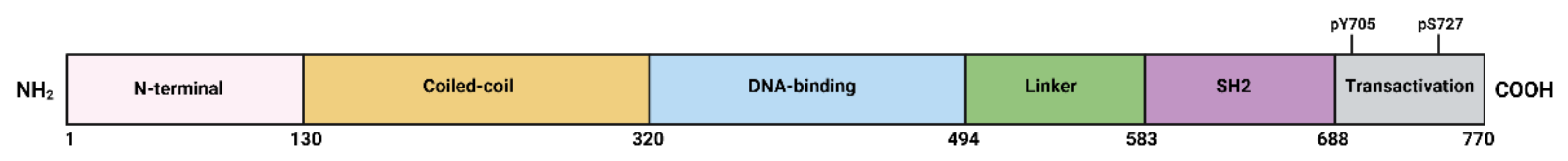 Cancers 13 06228 g001 Cancers 13 06228 g001