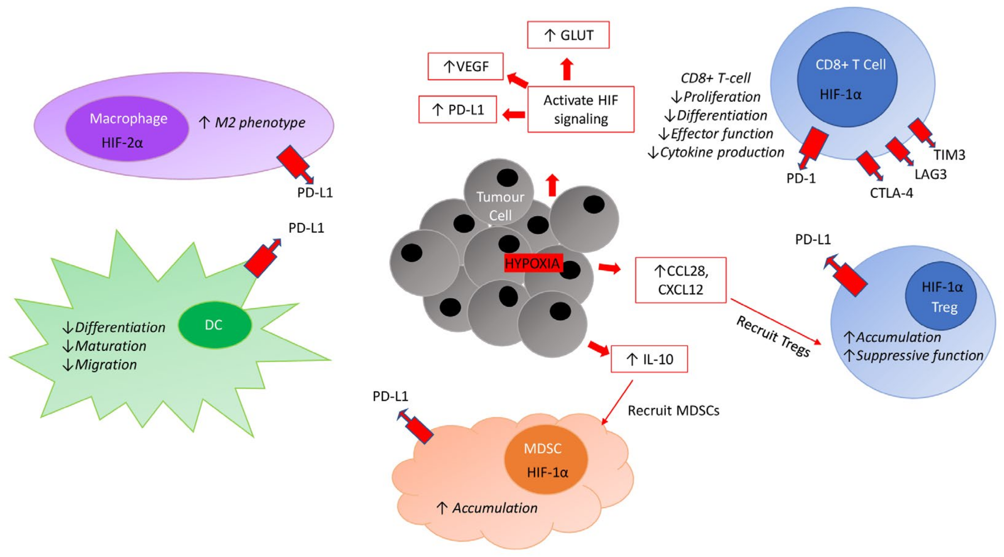 Cancers 13 06231 g002 550