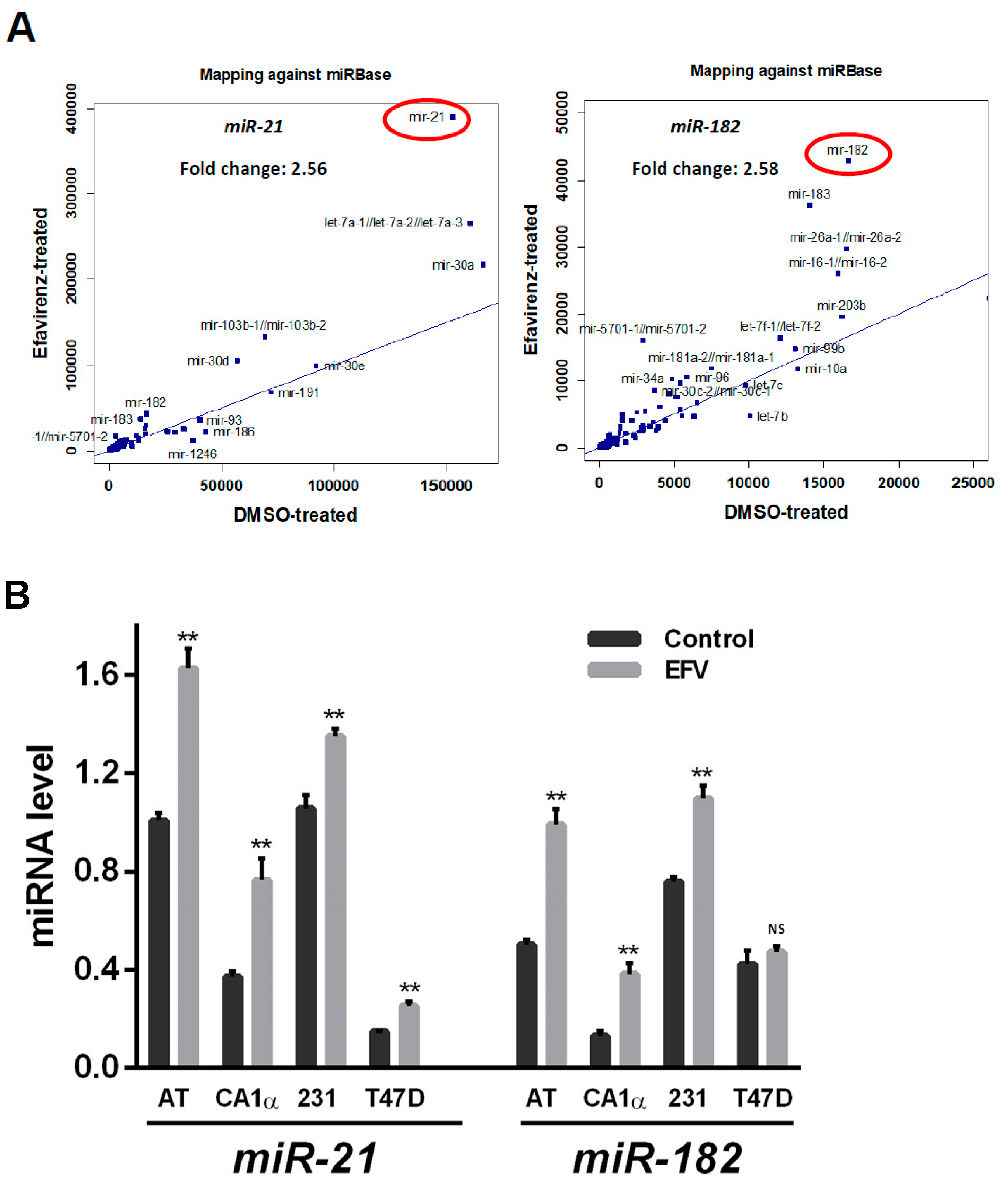 Cancers 13 06232 g003