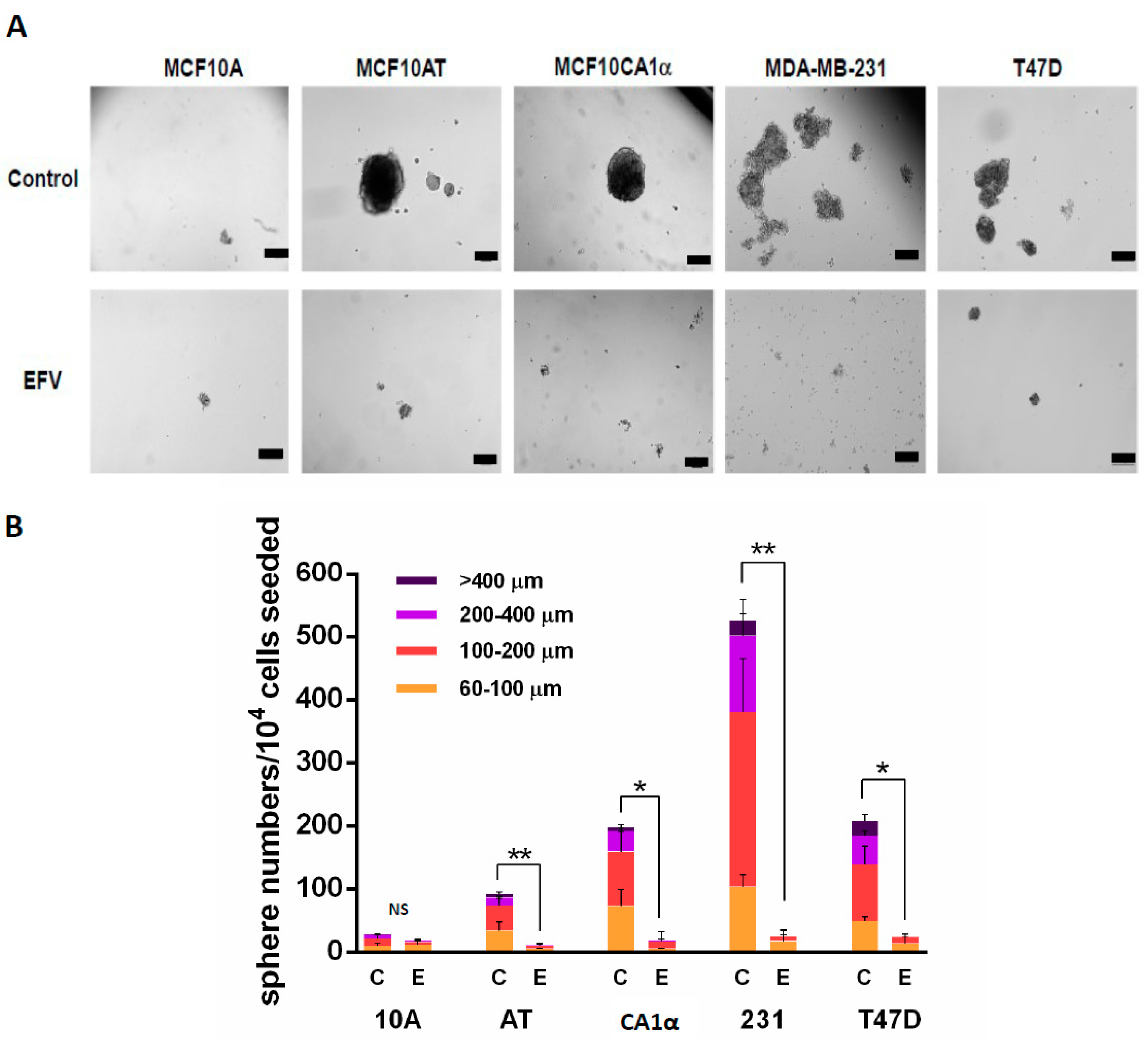 Cancers 13 06232 g005