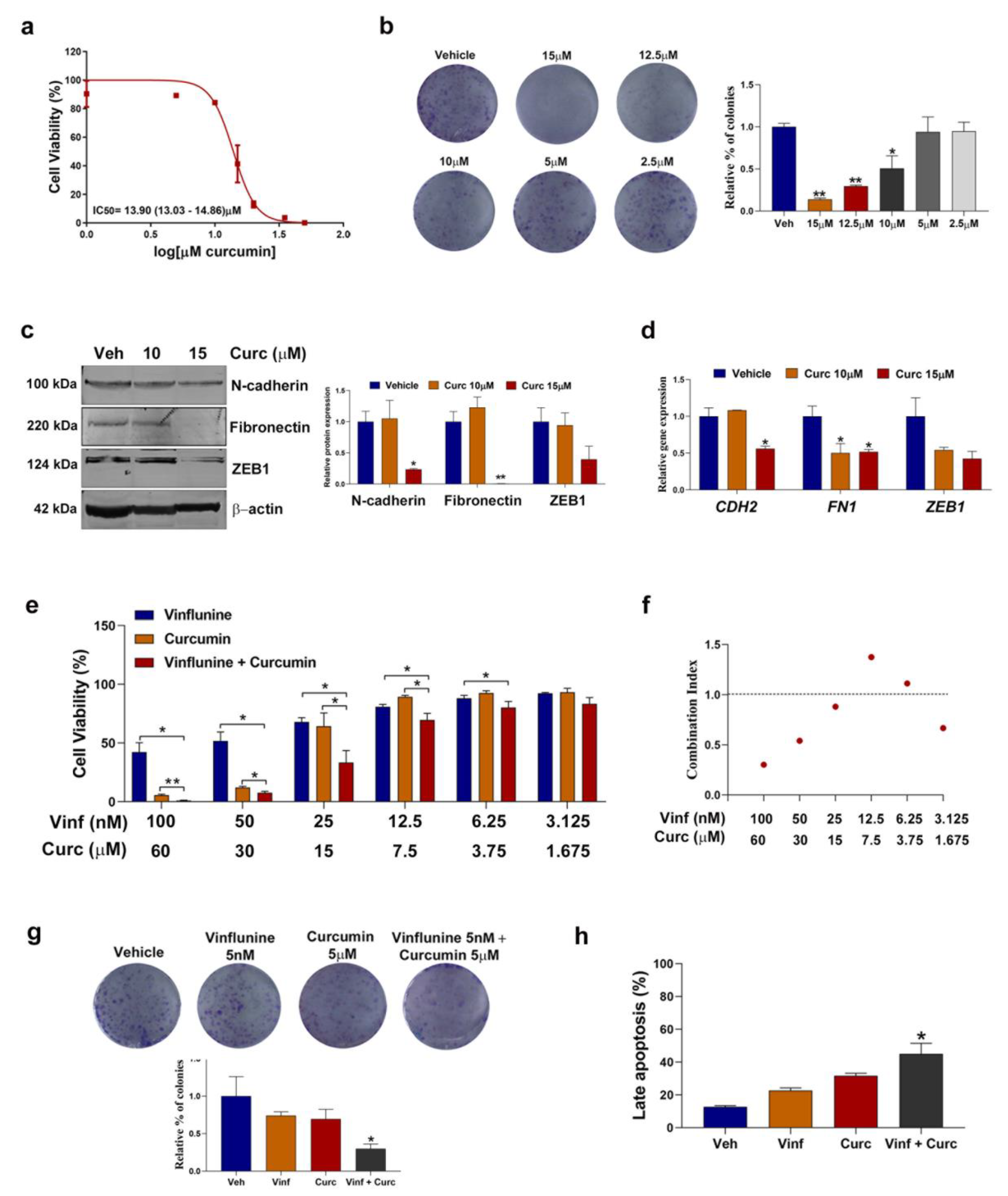 Cancers 13 06235 g005 Cancers 13 06235 g005