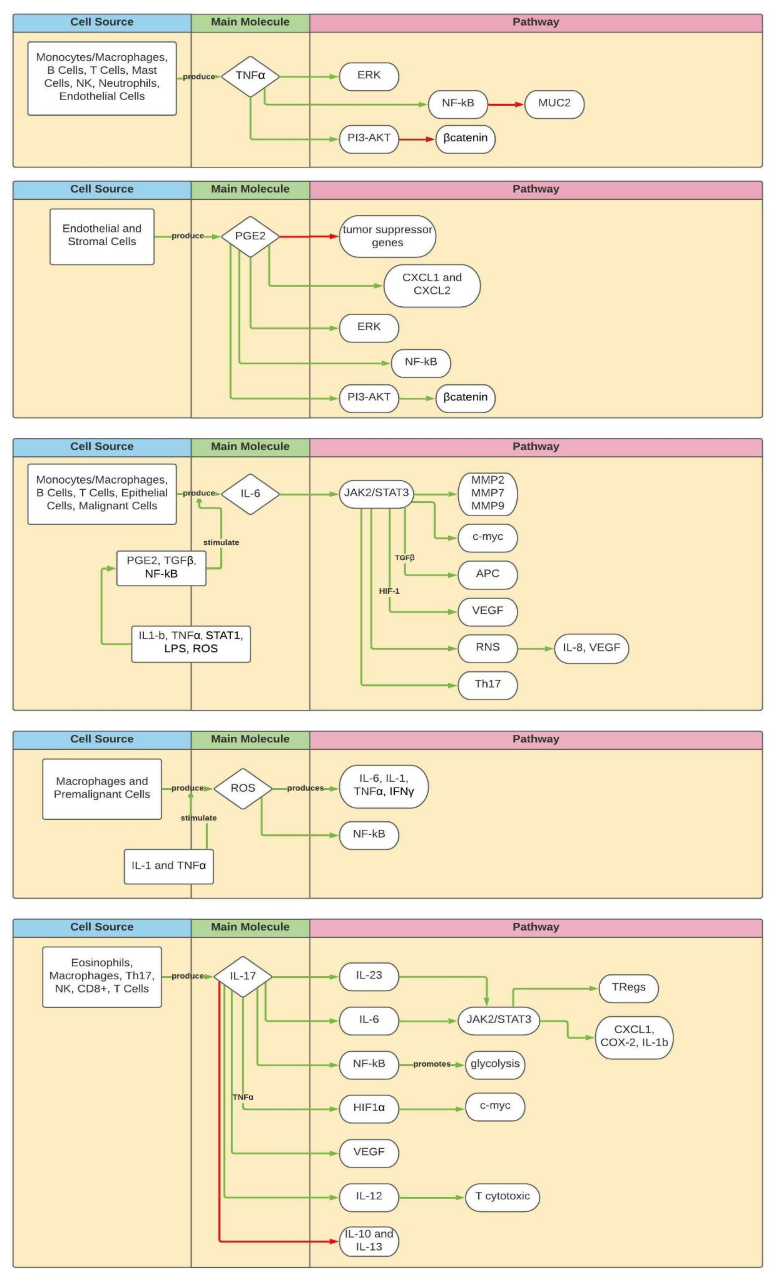 Cancers 13 06237 g002