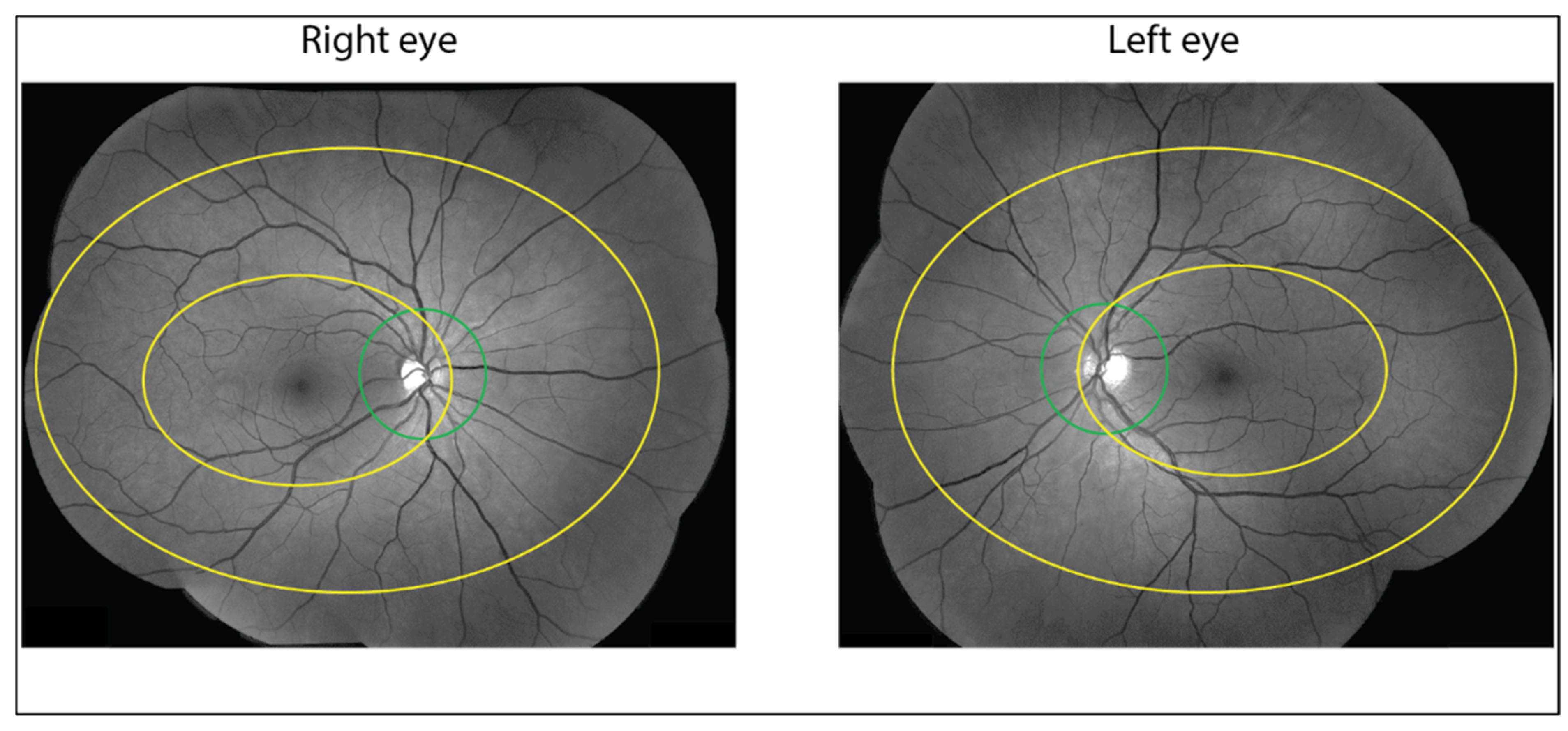 Cancers 13 06241 g001 550