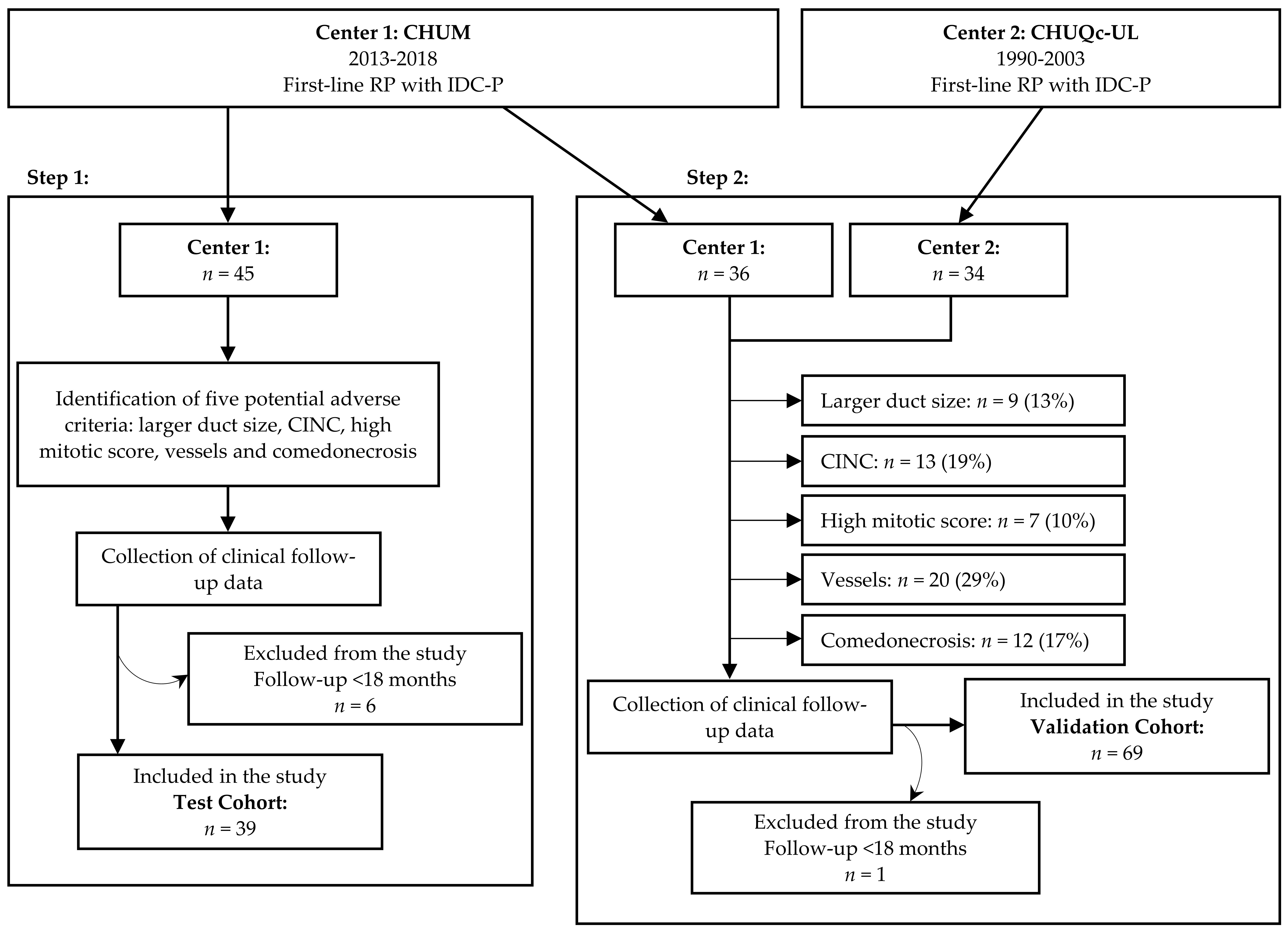 Cancers 13 06243 g001