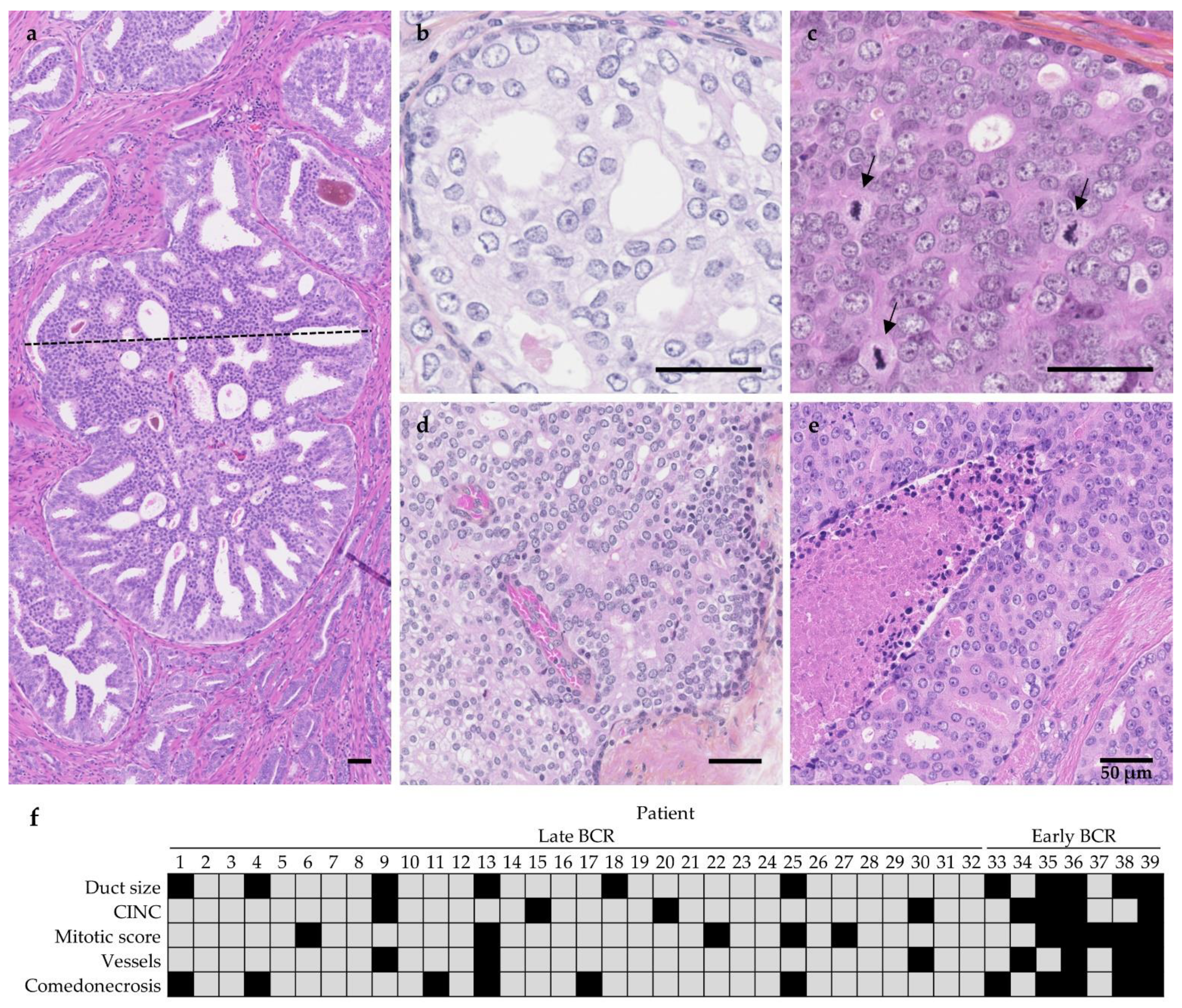 Cancers 13 06243 g002